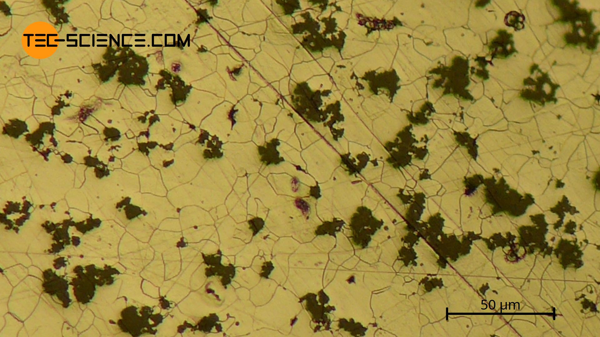 Gefügebild von Flockengraphitguss (Temperguss)