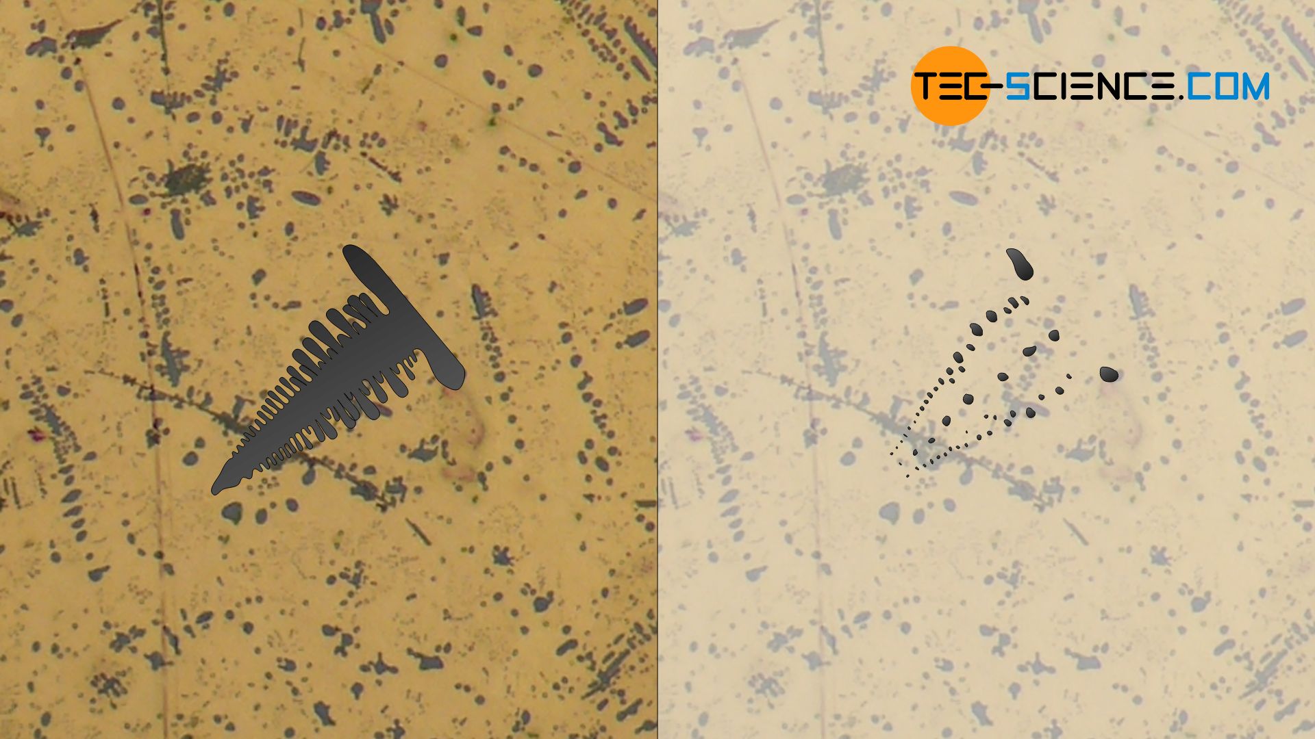 Dendritic crystal growth in copper(I)oxide