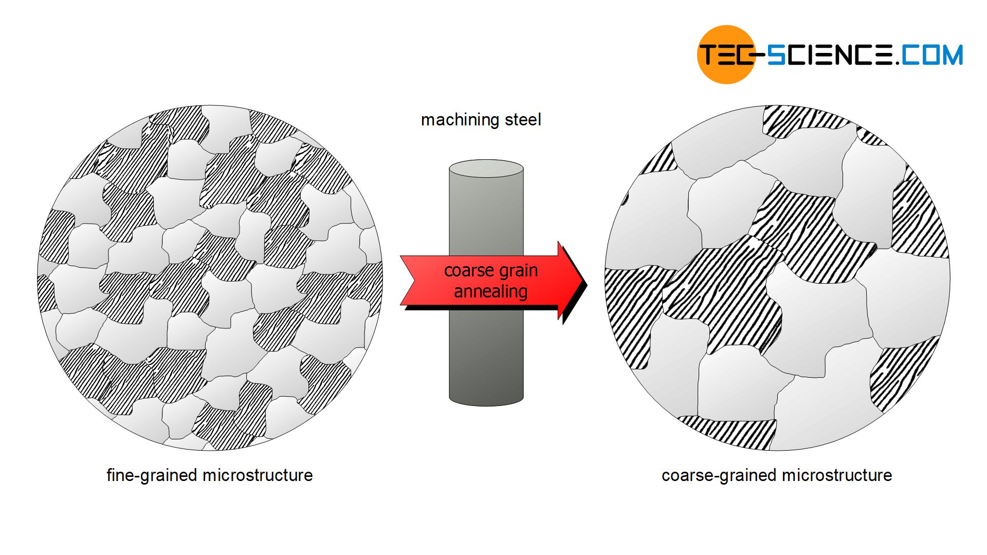 Coarse grain annealing of a free cutting steel