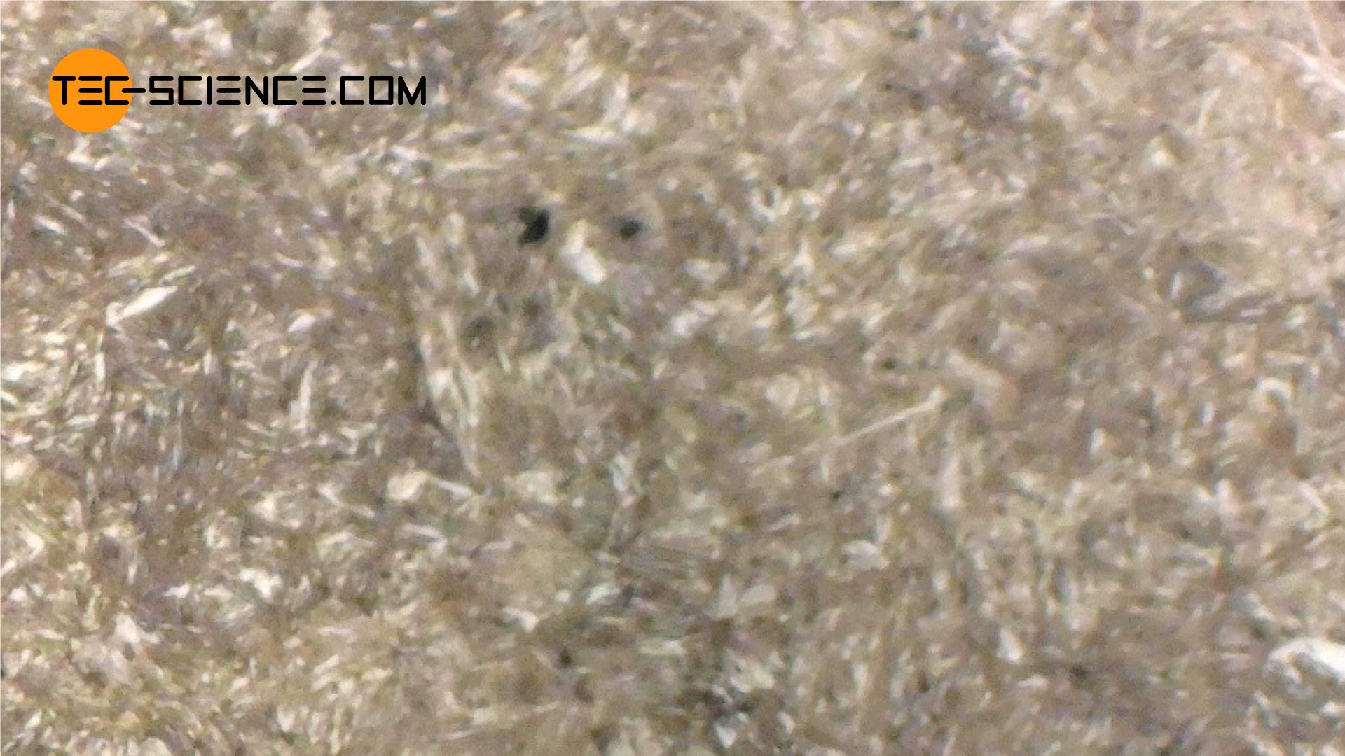 Micrograph of a tempered steel (C45)