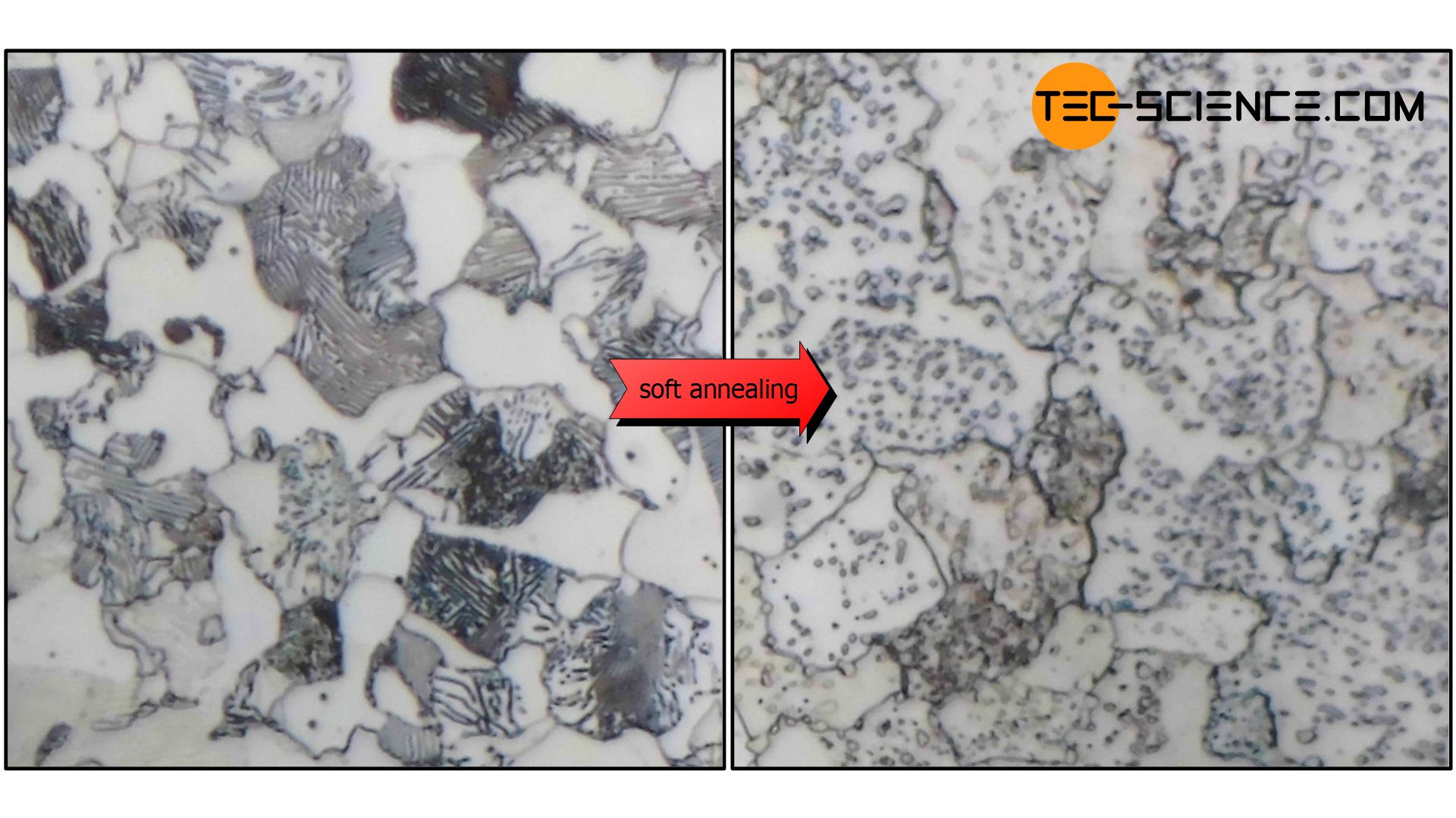 Micrograph of a soft annealed steel (C45)