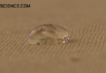 Water droplet on a tablecloth