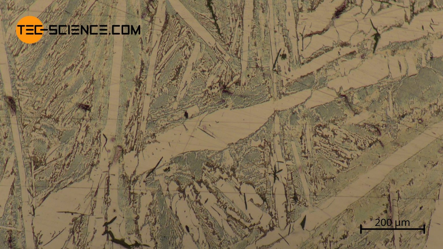 Cast iron tecscience