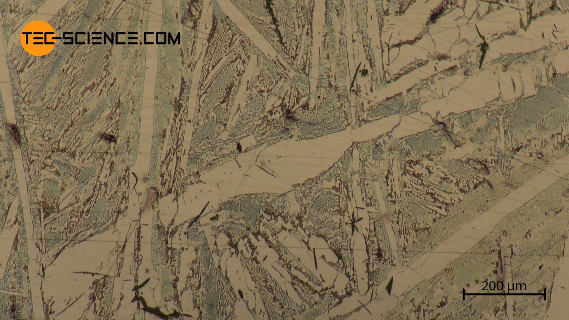 Micrograph of hypereutectic cast iron with a carbon content of 5.5 %