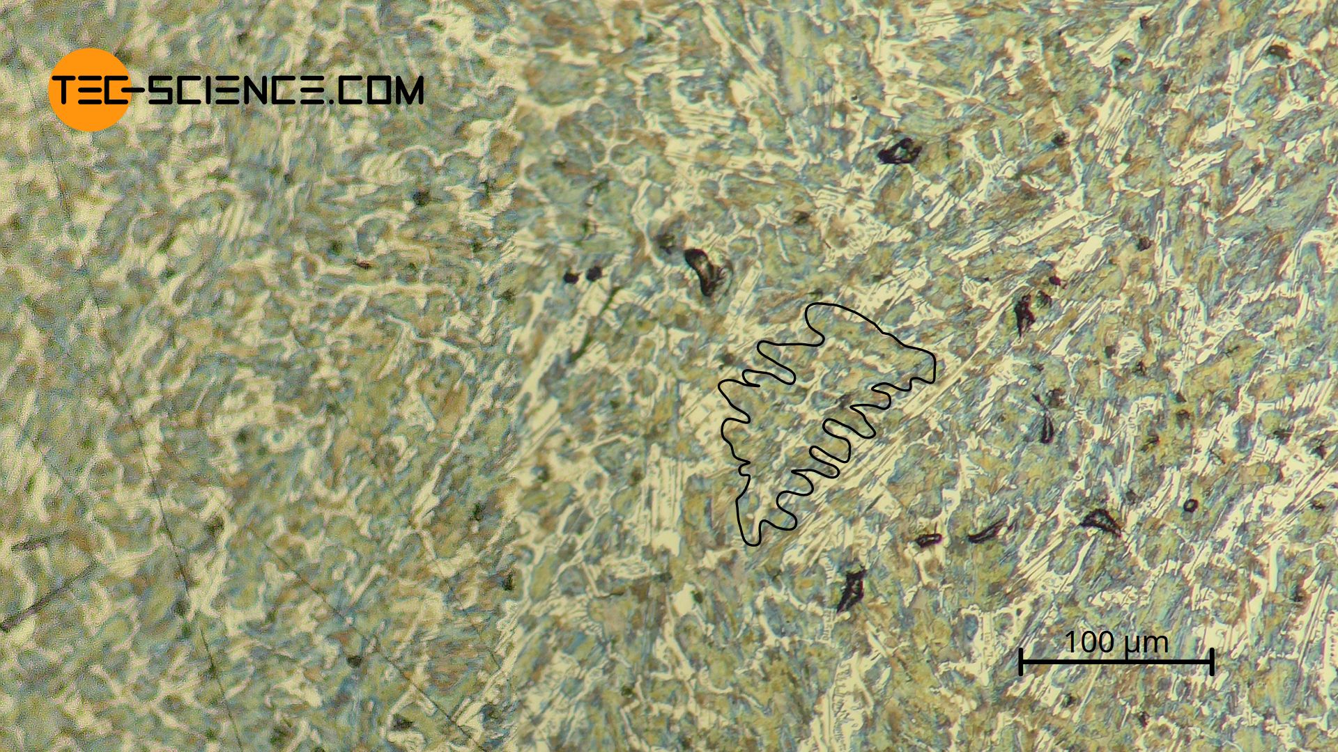 Micrograph of hypoeutectic cast iron with a carbon content of 2.7 %.