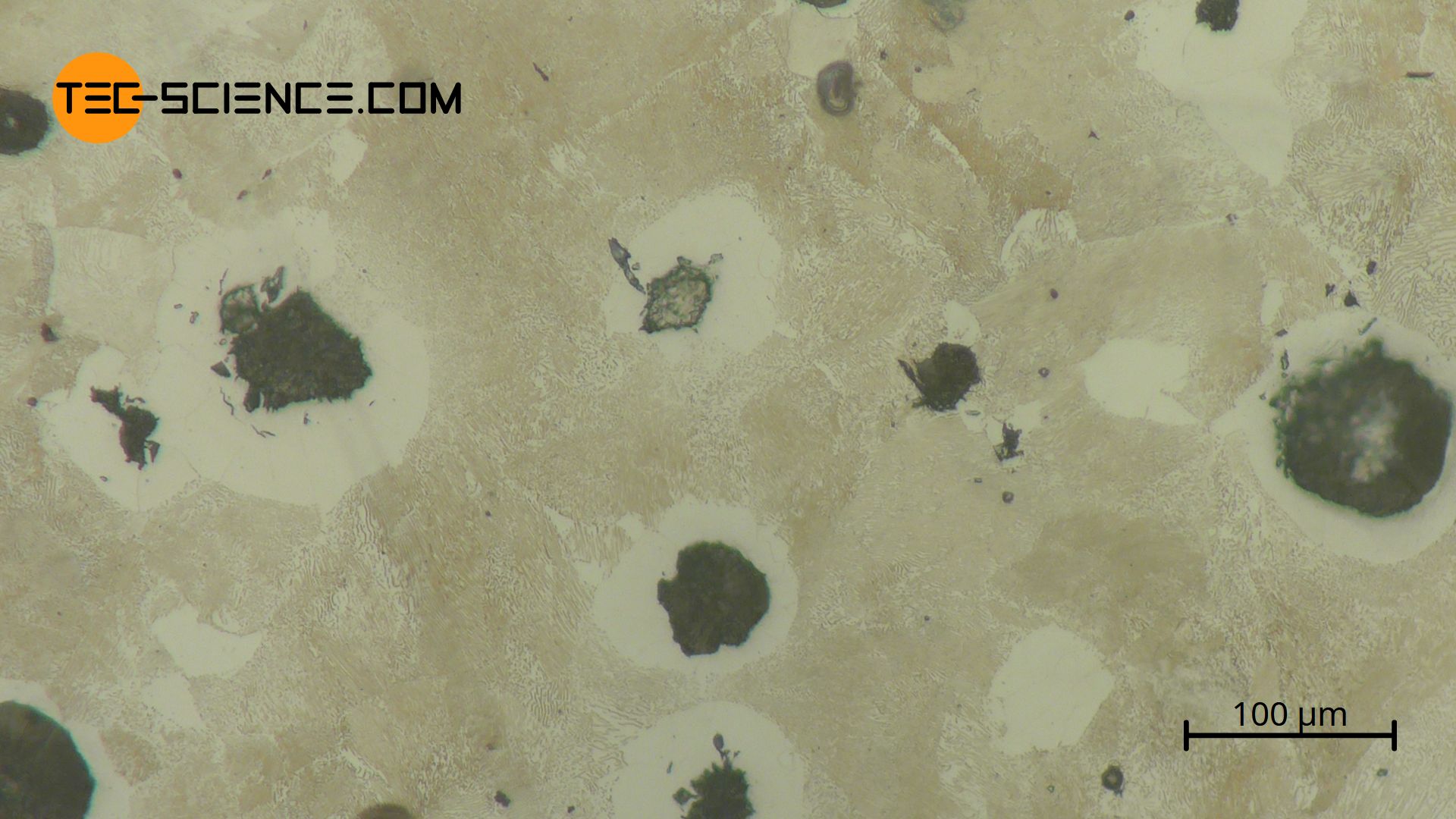 Microstructure of nodular graphite cast iron (spheroidal graphite cast iron, ductile iron)