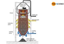 Shaft furnace for the direct reduced iron process