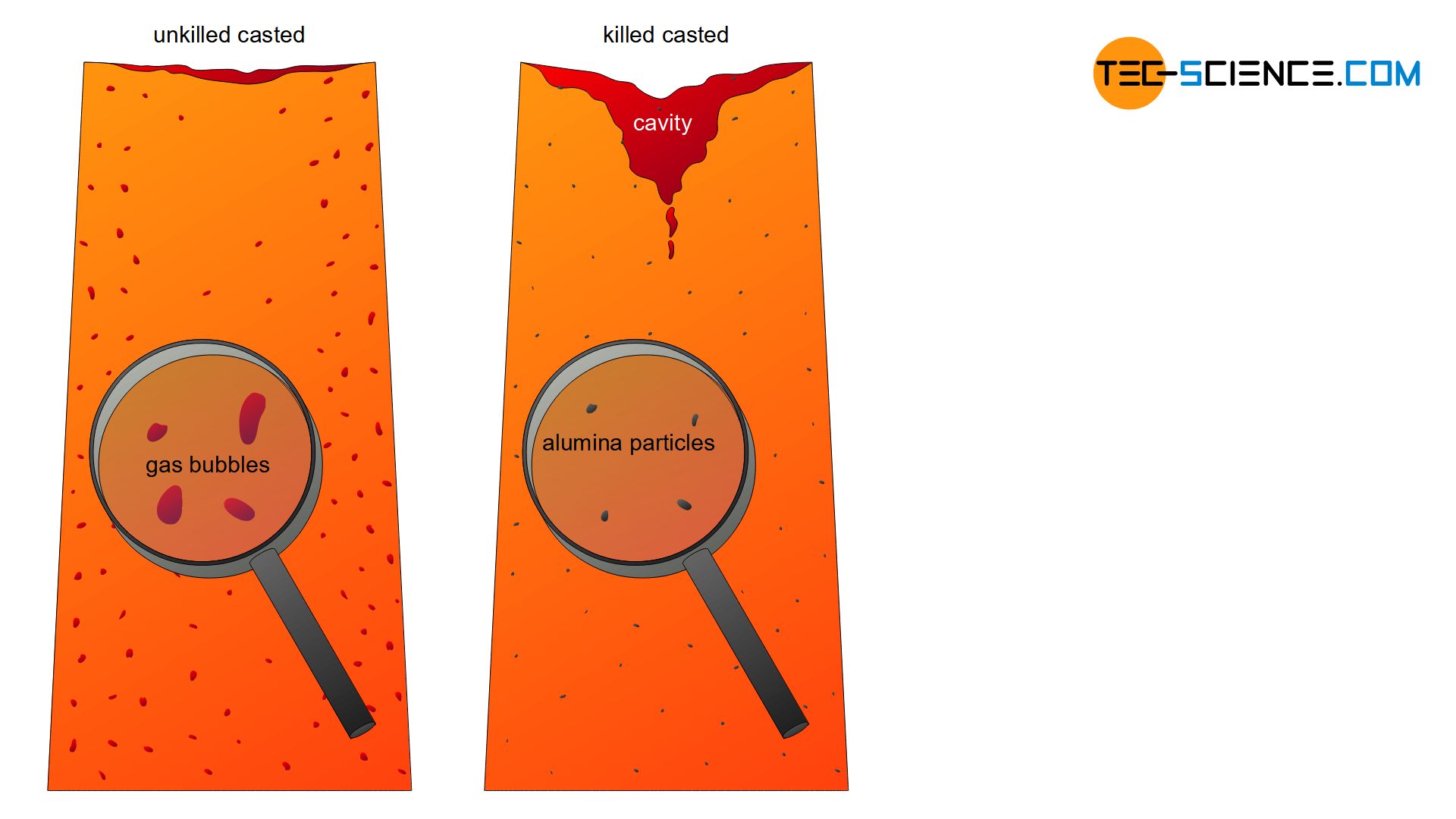 Comparison of rimmed and killed cast steel