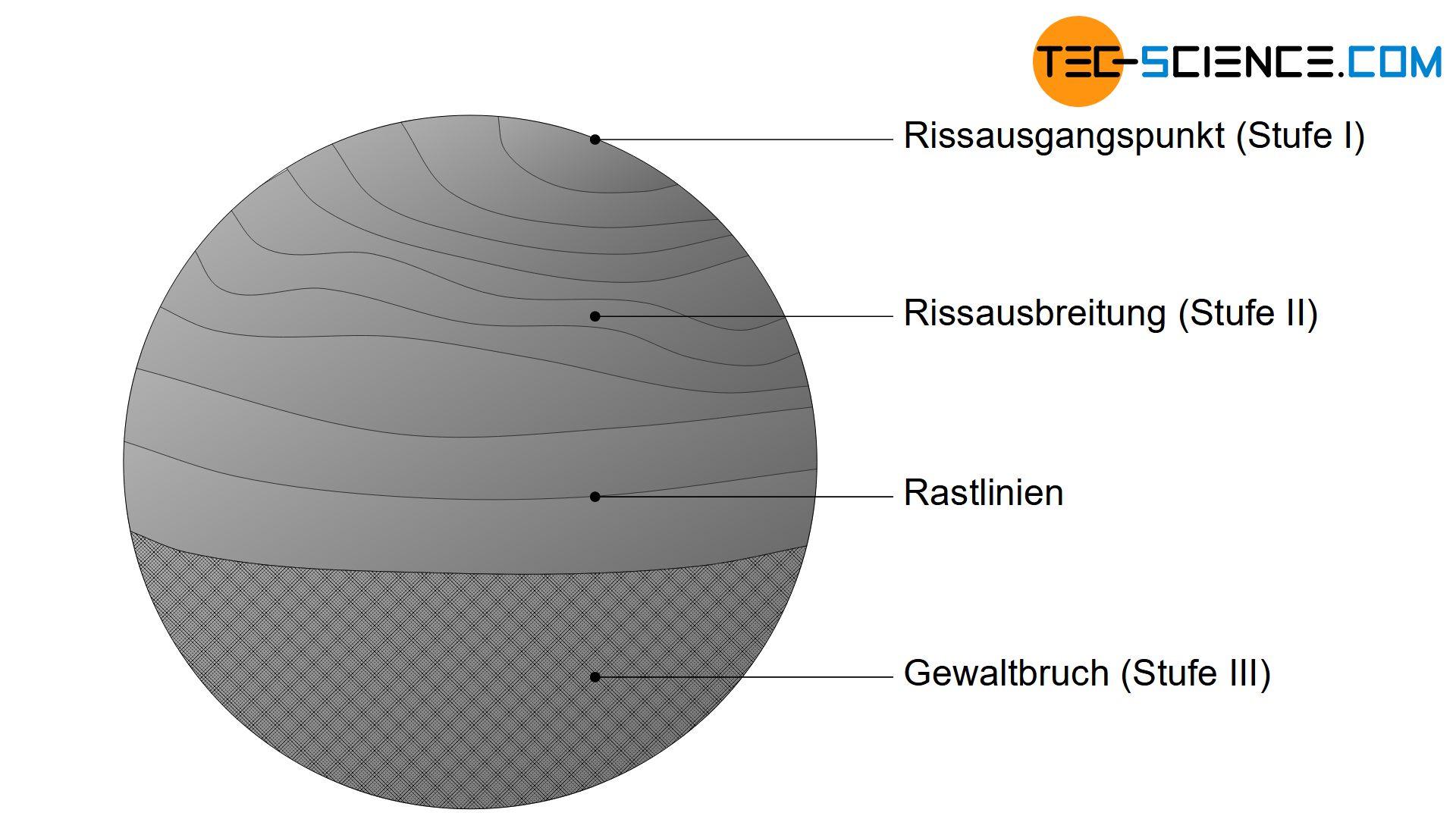 Bruchfläche eines Dauerbruchs