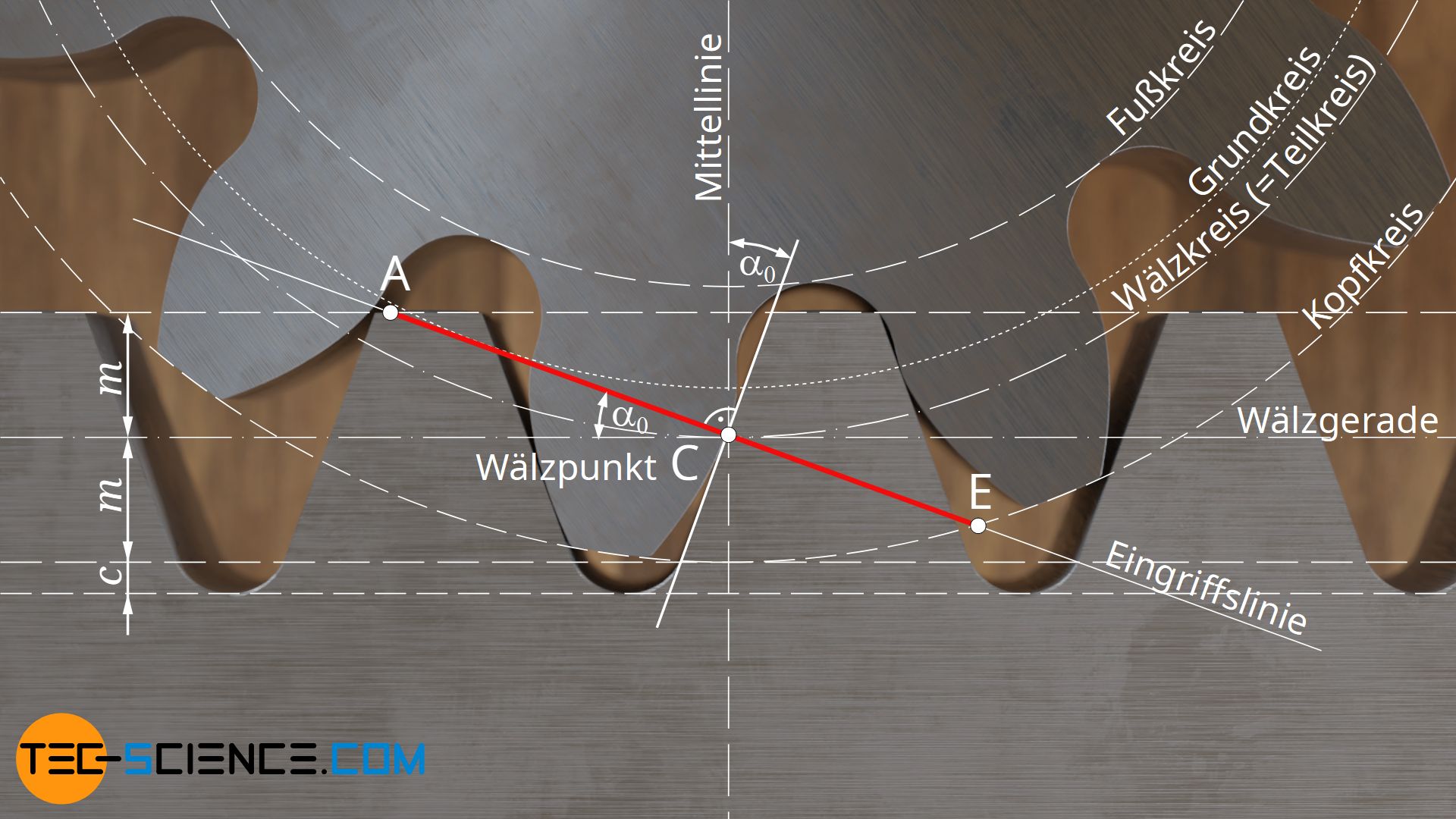 https://www.tec-science.com/wp-content/uploads/2021/03/de-evolventenverzahnung-zahnstange-eingriff.jpg