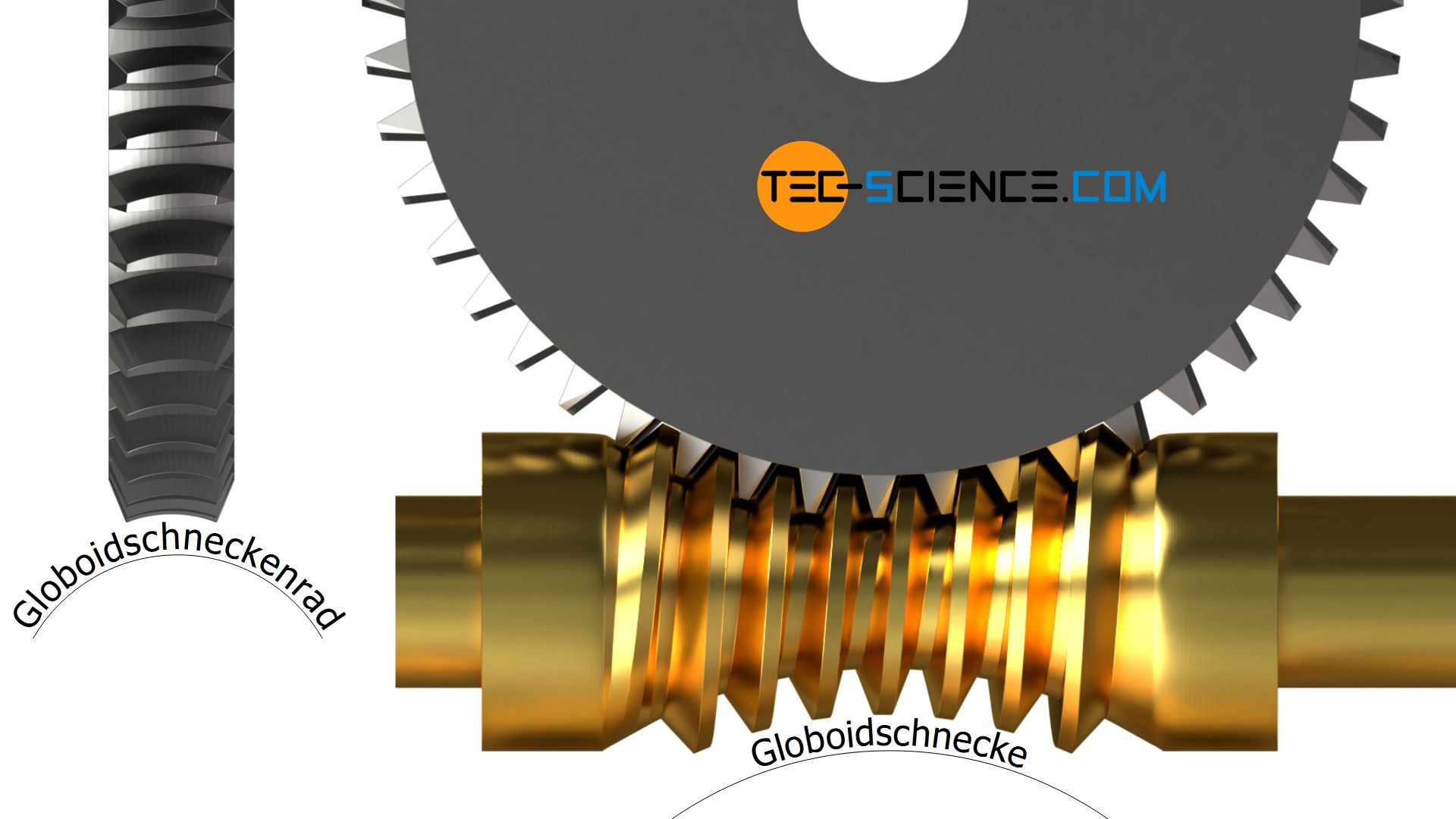 Globoidschnecke und Globoidschneckenrad (Globoidschneckengetriebe)