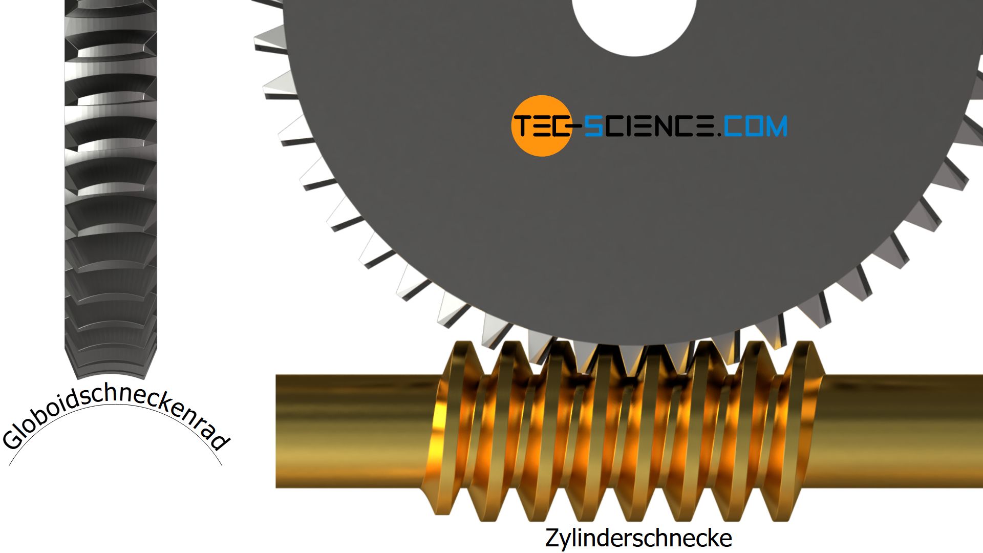 Zylinderschnecke und Globoidschneckenrad (Zylinderschneckengetriebe)