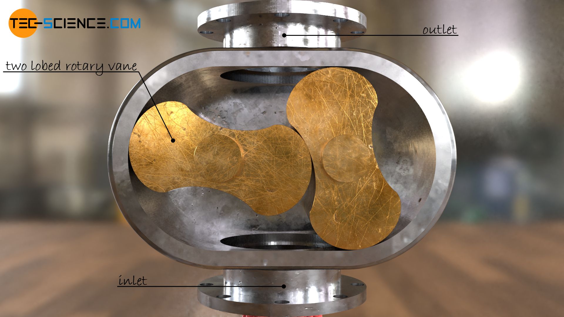 Structure of a Roots blower (lobe pump)