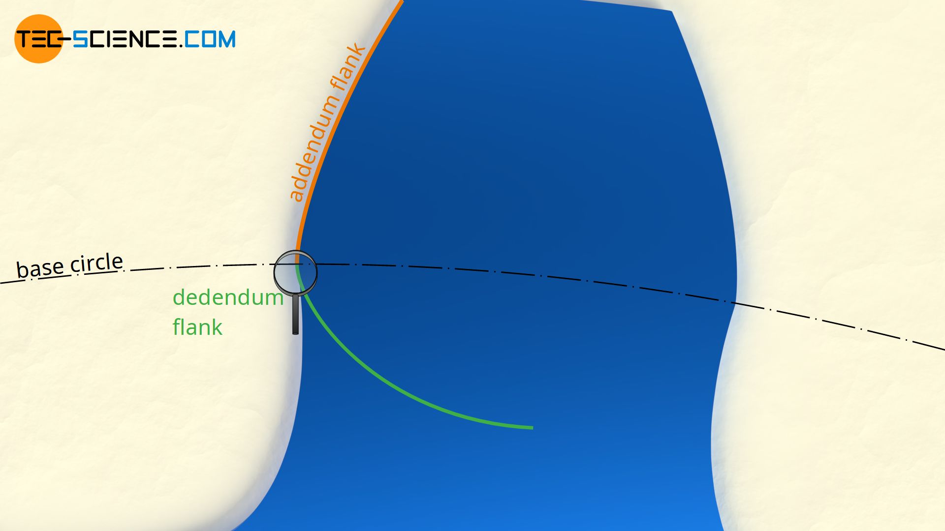 Tooth shape of a cycloidal gear with a rolling circle to base circle ratio of 0.97