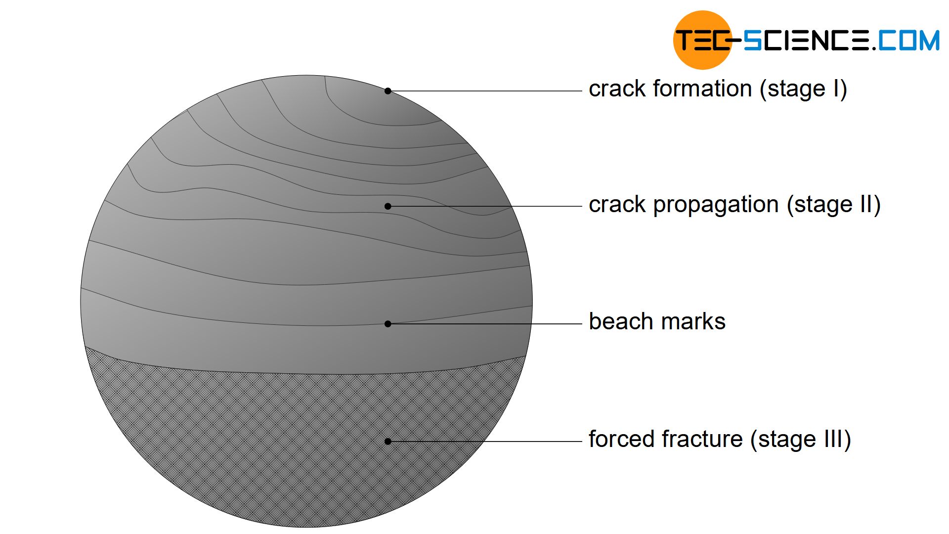 Surface of a fatigue fracture