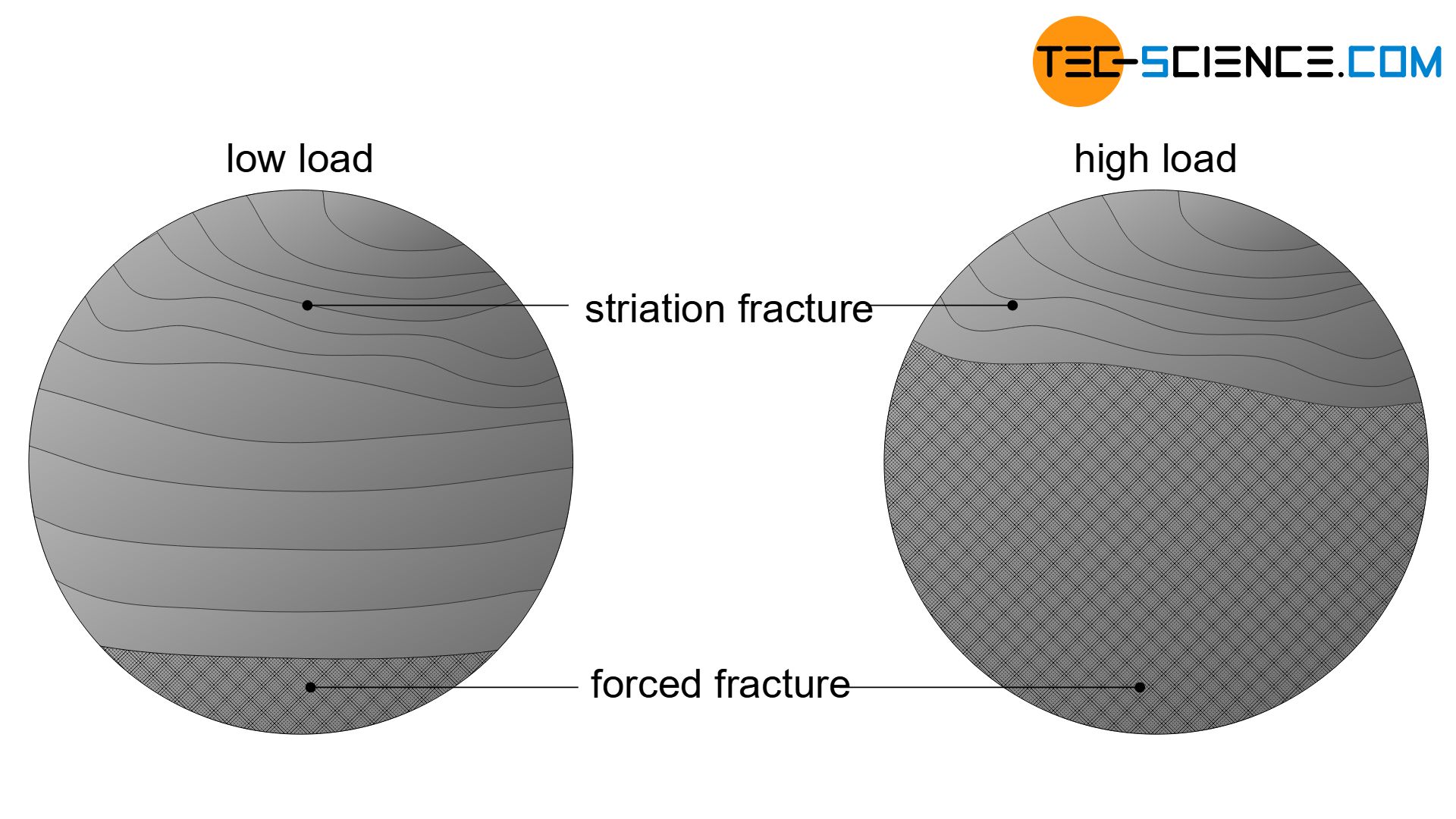 Surface of a fatigue fracture