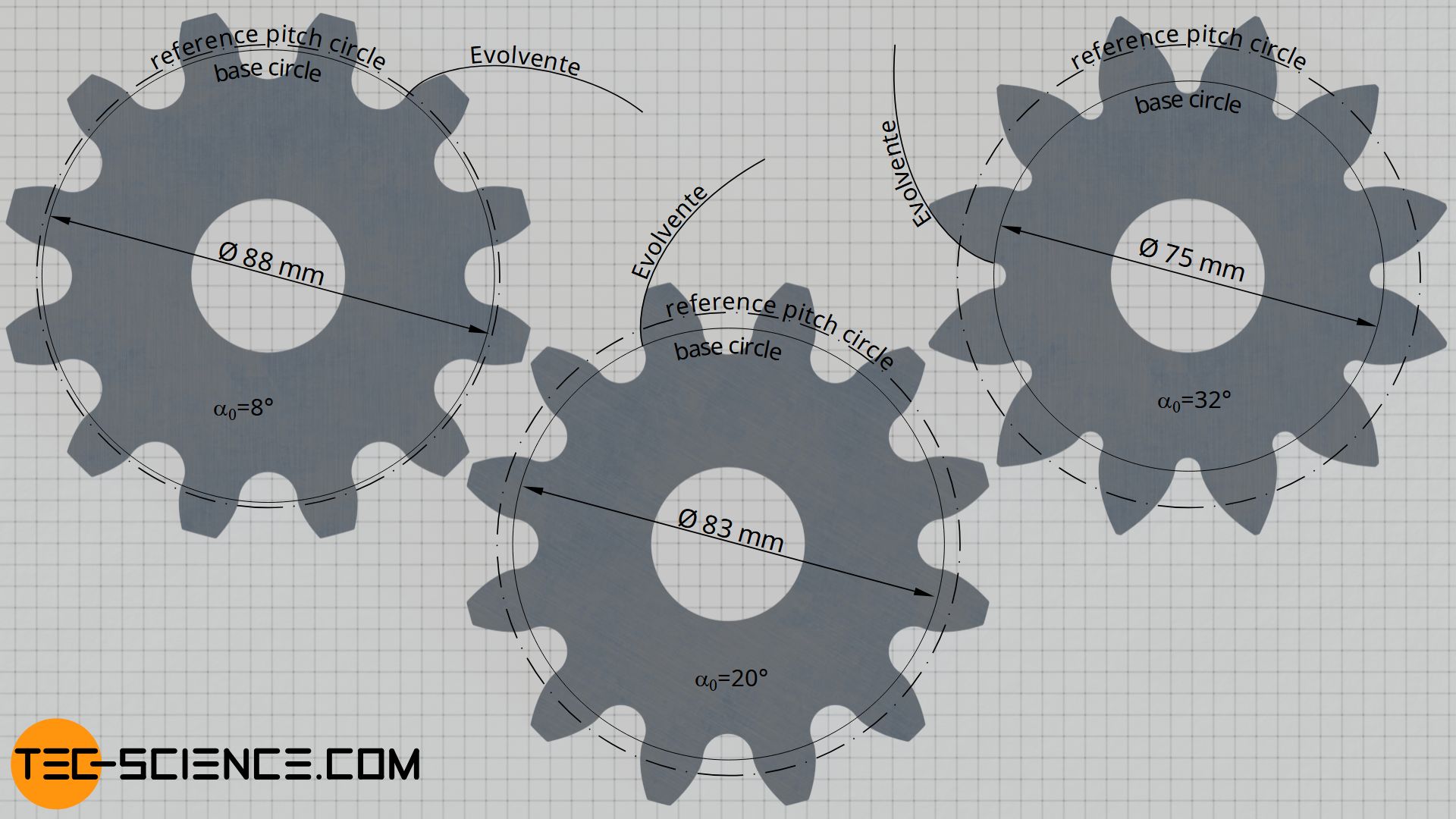 Flank shape for different base circle diameters