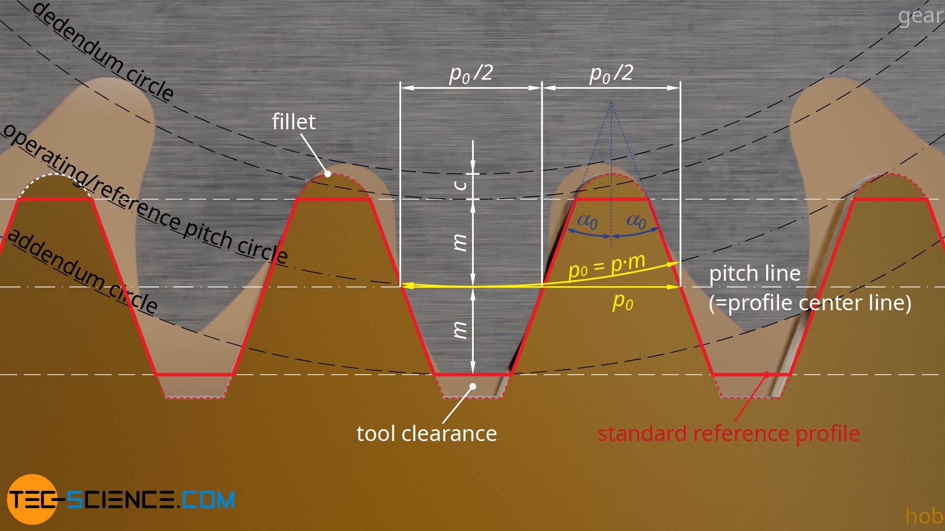 Standard reference profile for a hob cutter