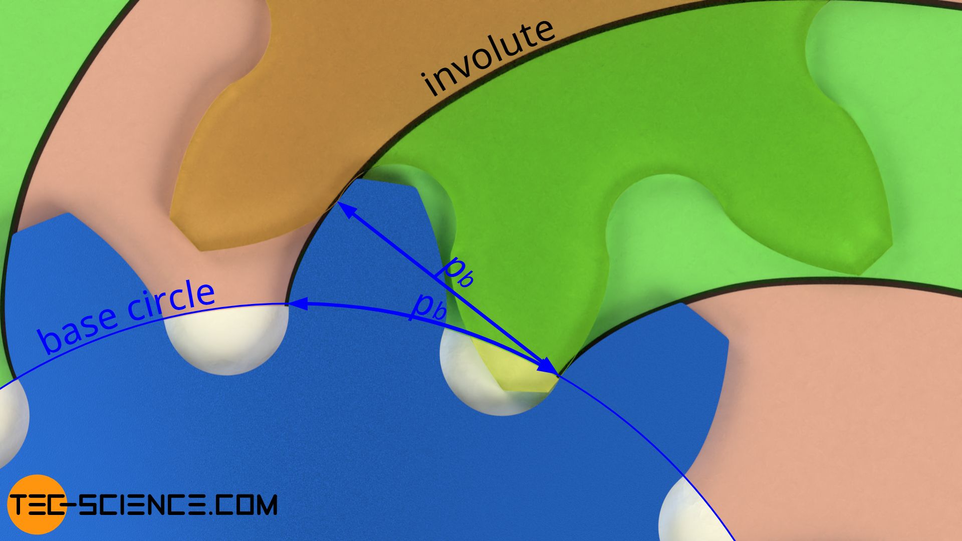 Difference between circular pitch and base pitch