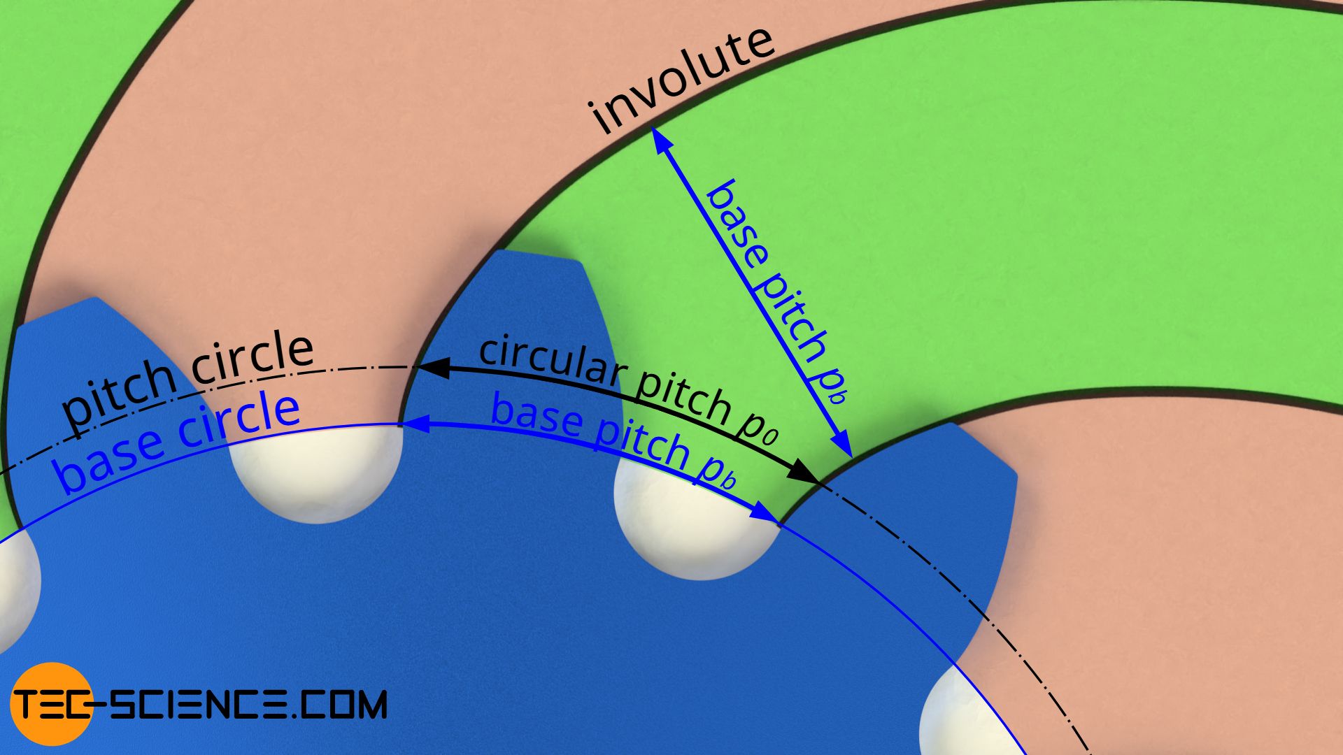 Difference between circular pitch and base pitch