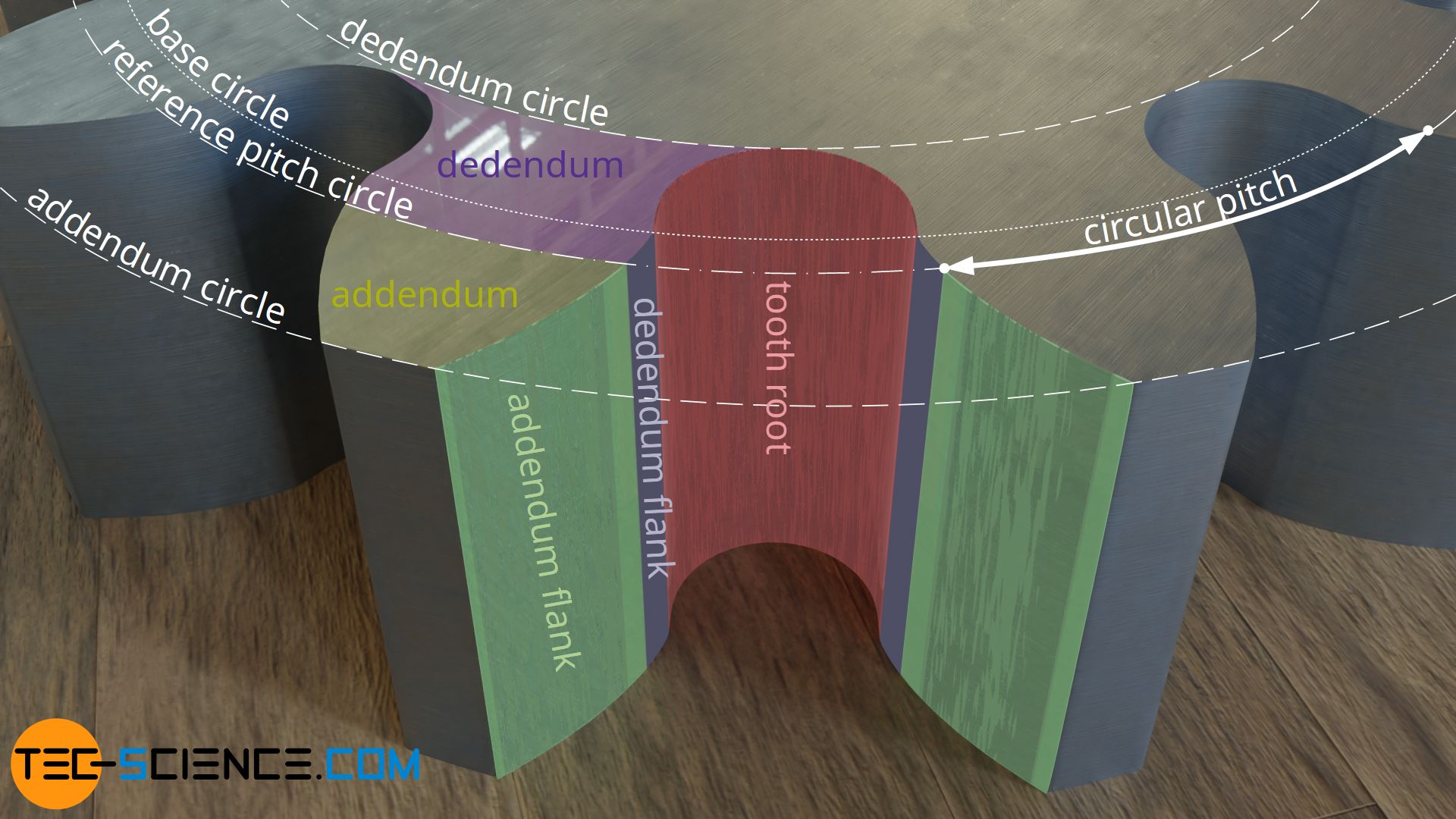 Nomenclature of an involute gear