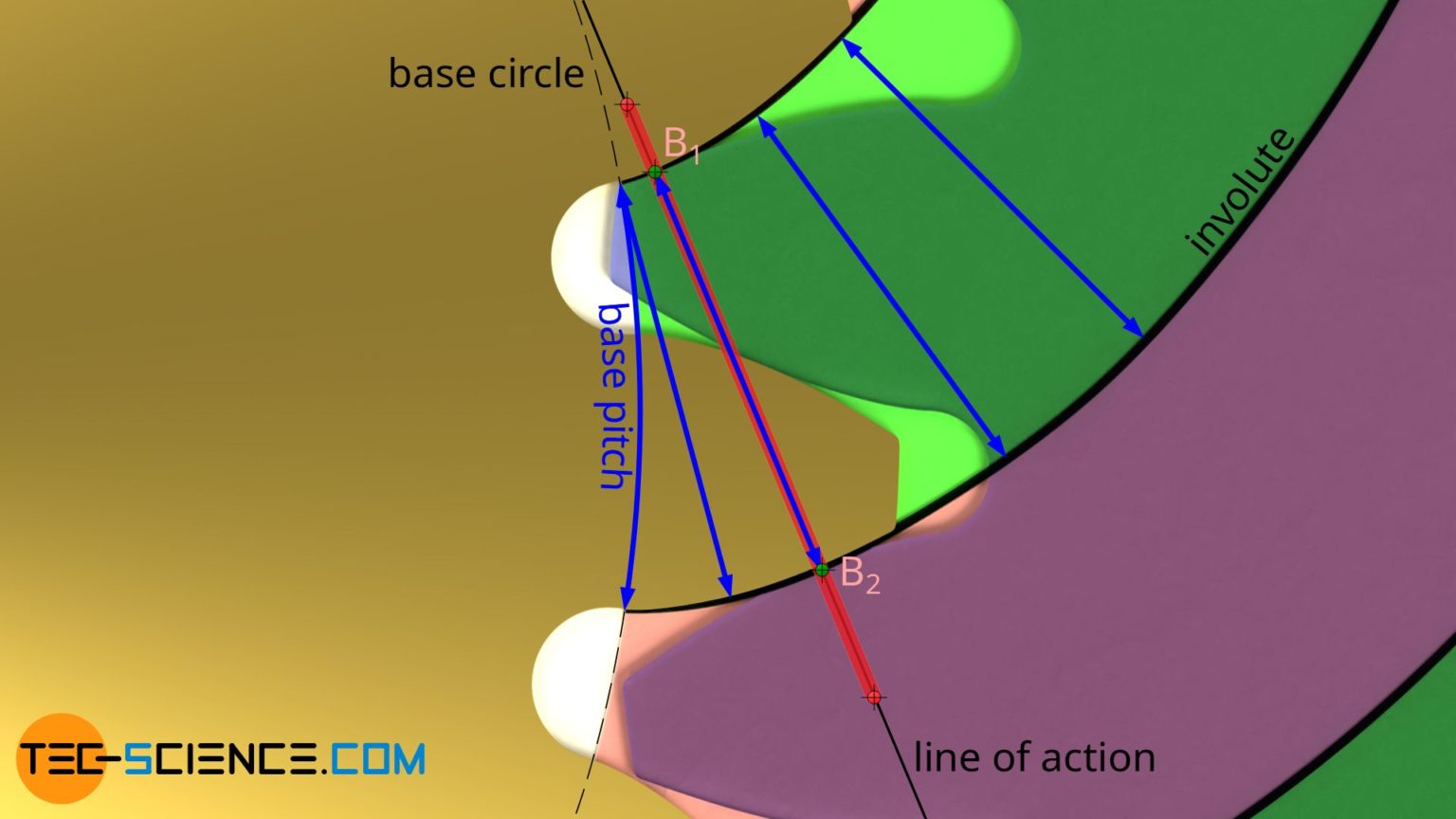 Engaging of involute gears (meshing) tecscience
