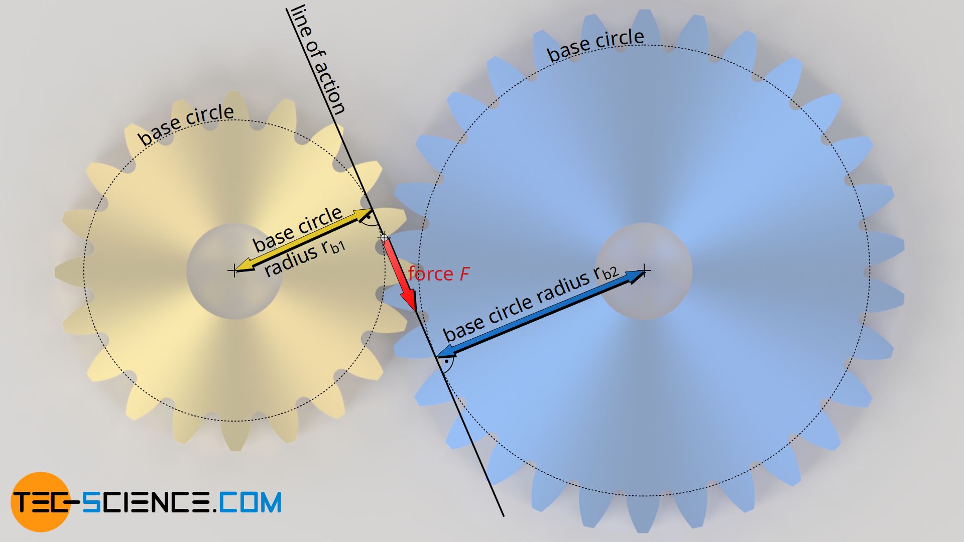 Force transmission during meshing