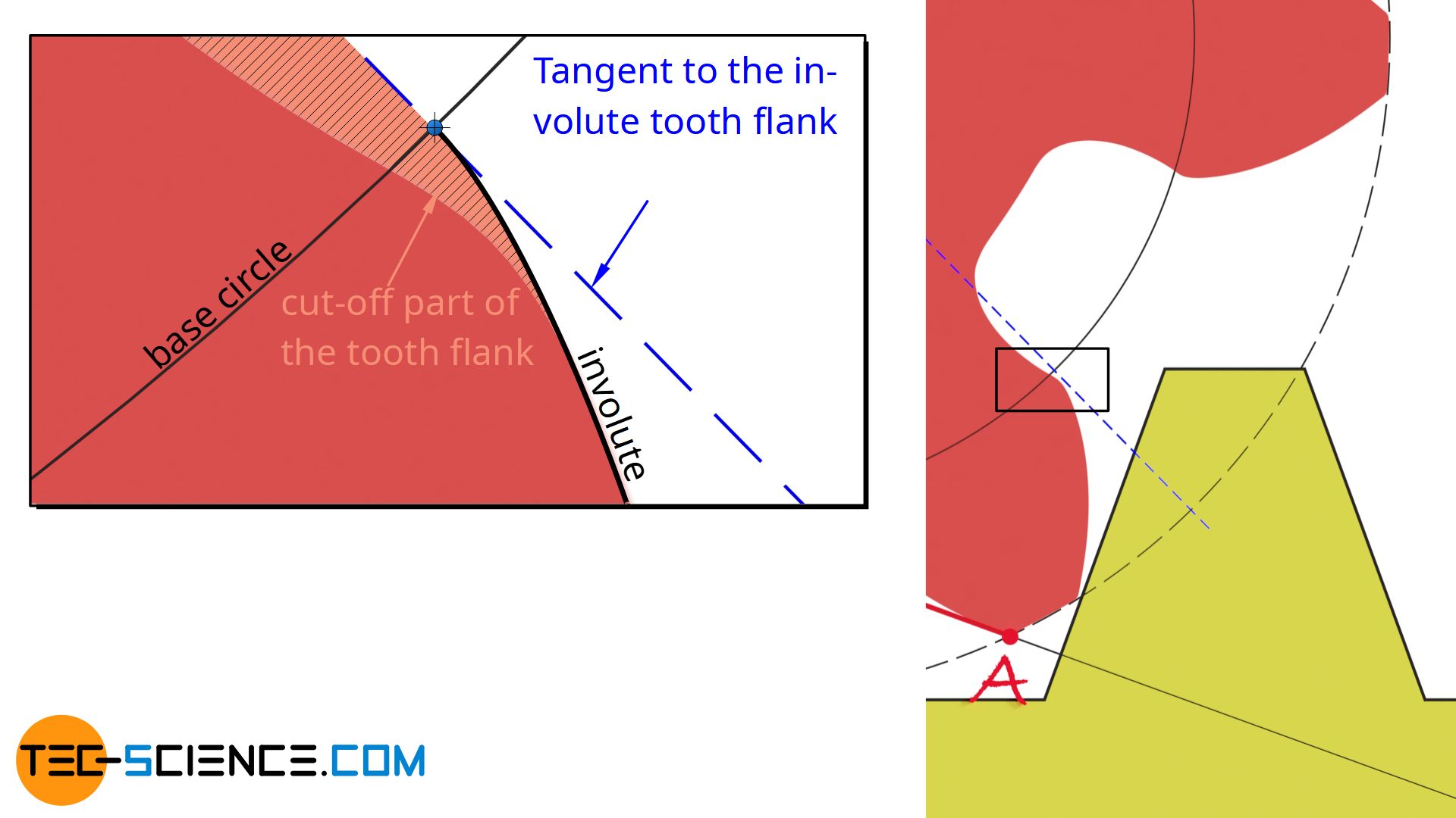 Cutting off a part of the tooth flank due to the undercut