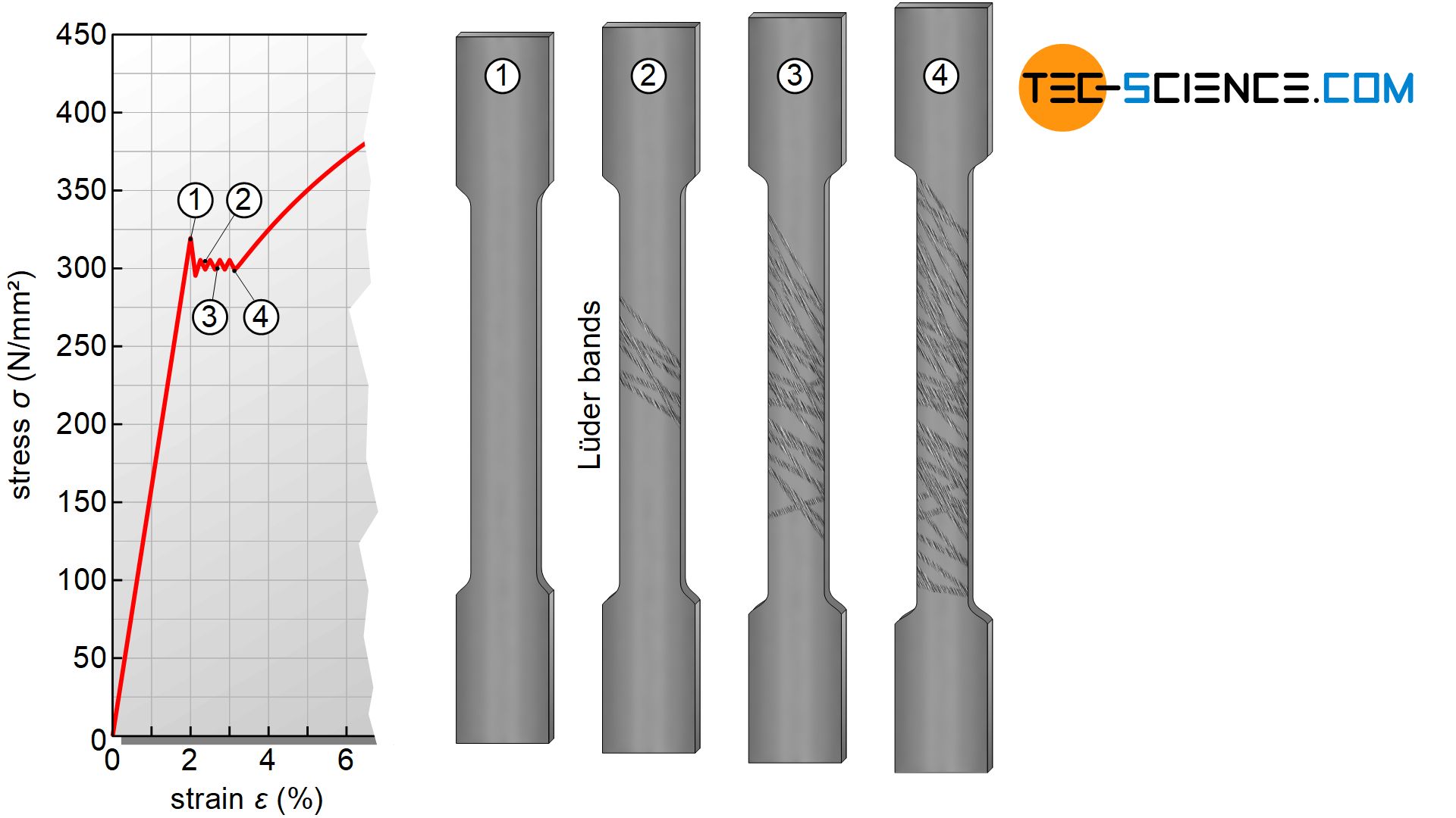 Lüder bands (stretcher strain marks)