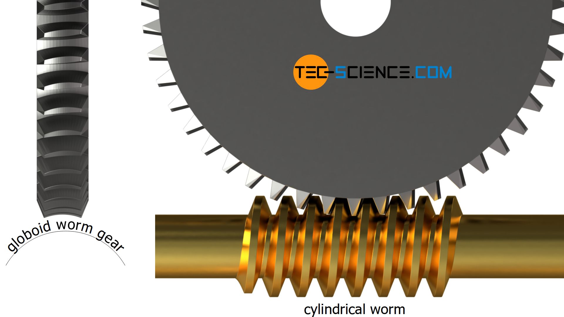 Worms and worm gears - tec-science