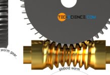 Globoid worm und globoid worm gear (globoid worm drive)