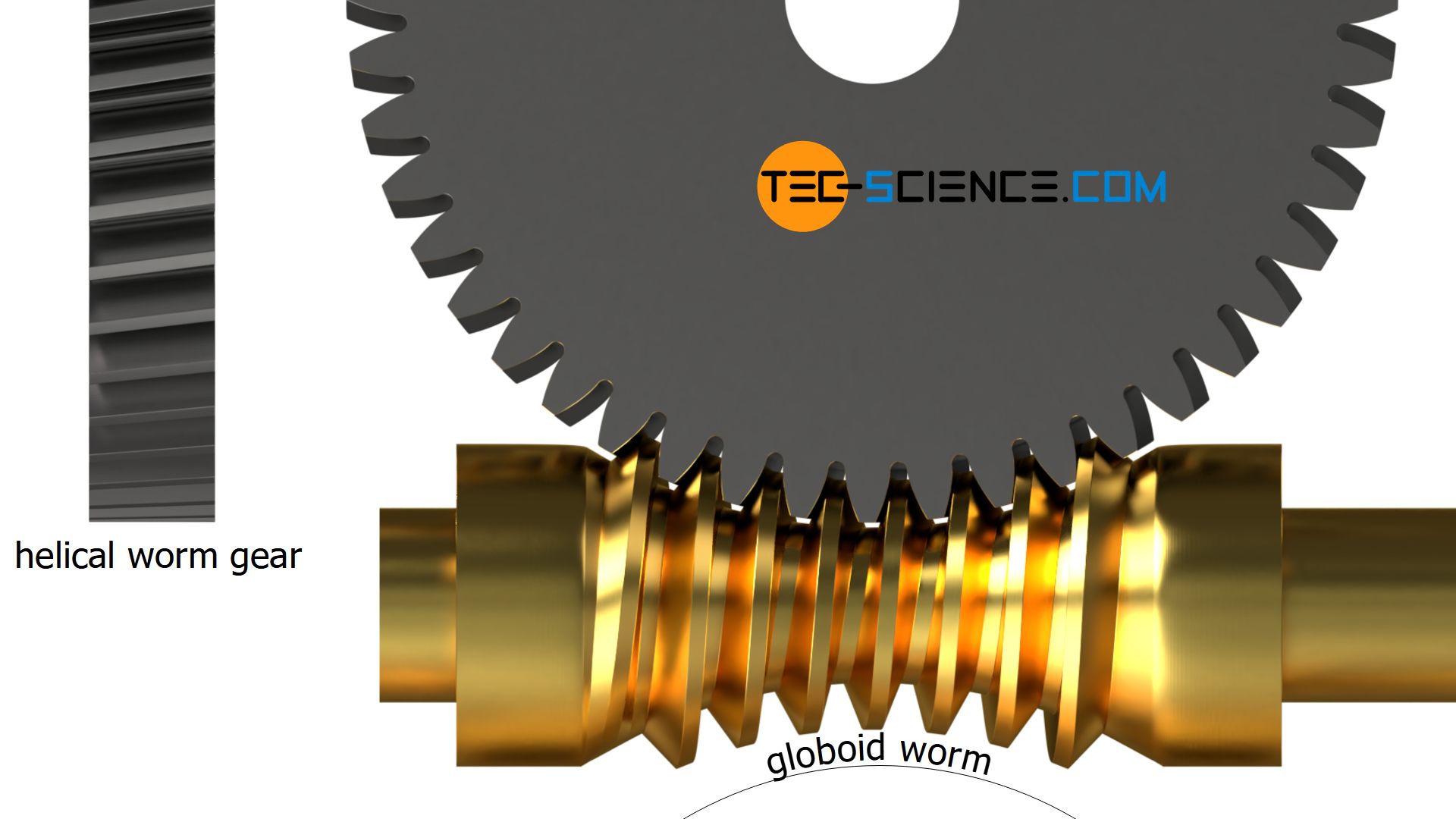 Globoid worm und helical worm gear