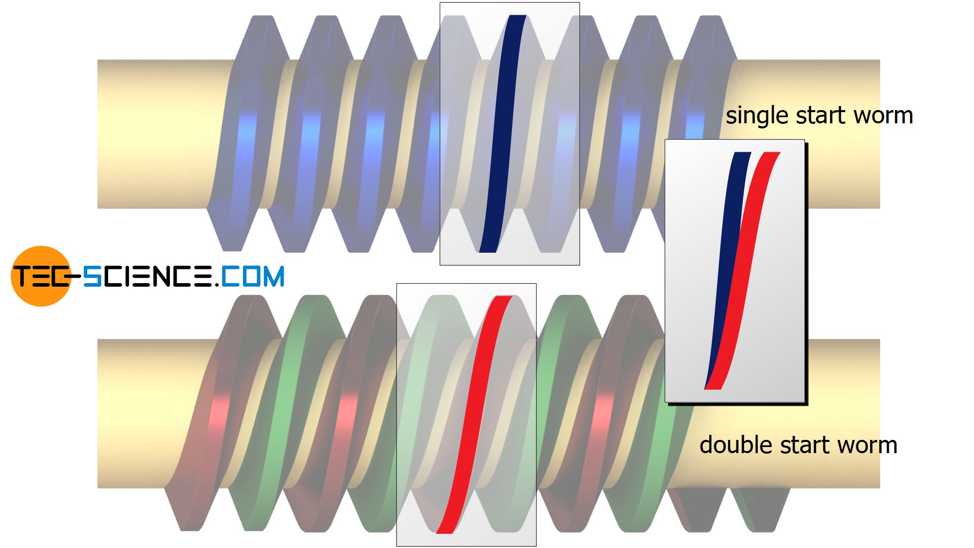 Comparison of the spiral angles between a single and a double start worm