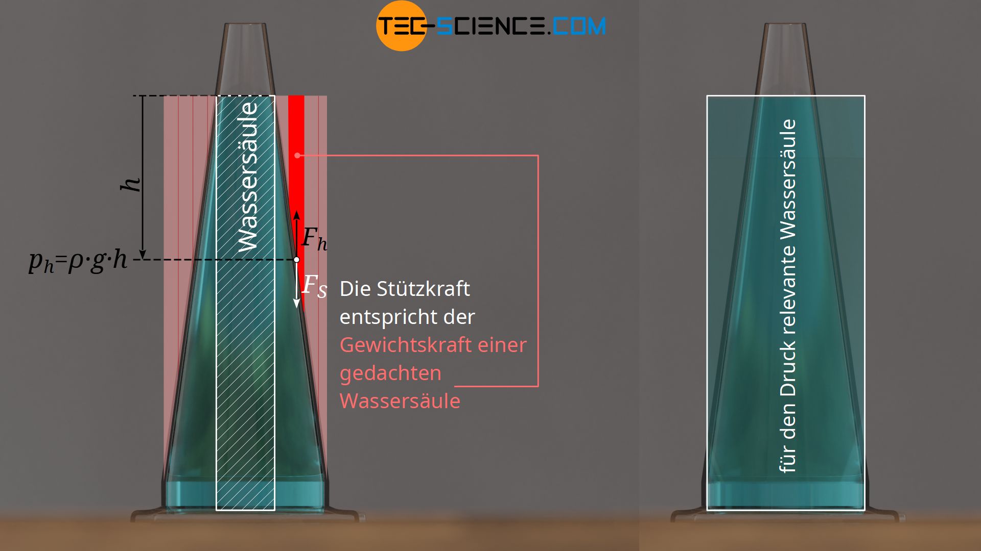 Kräfte an der Gefäßwand aufgrund des hydrostatischen Drucks