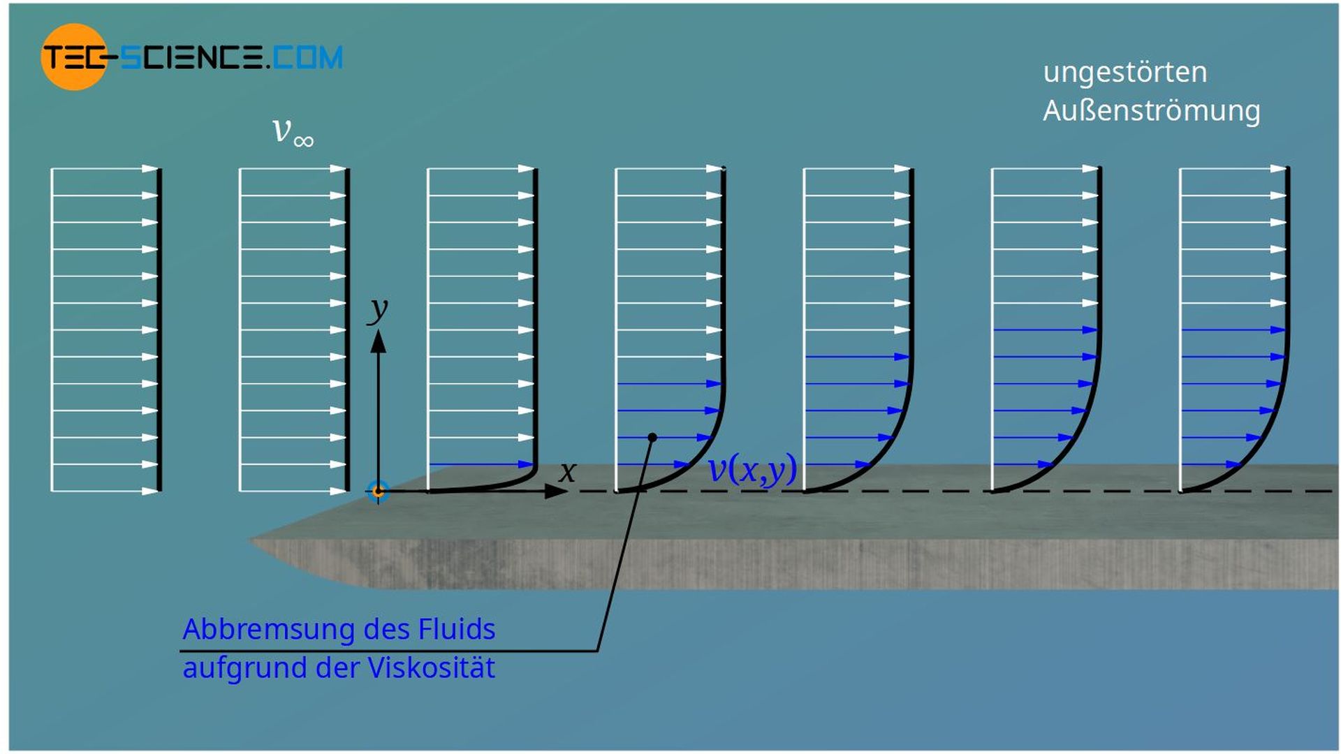 Abbremsung der Fluidschichten verursacht von Schubspannungen aufgrund der Viskosität des Fluids