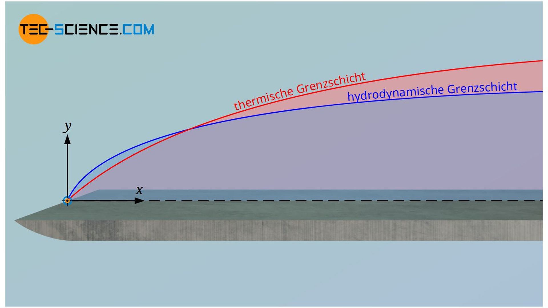 Hydrodynamische und thermische Grenzschicht der Strömung über eine ebene Platte