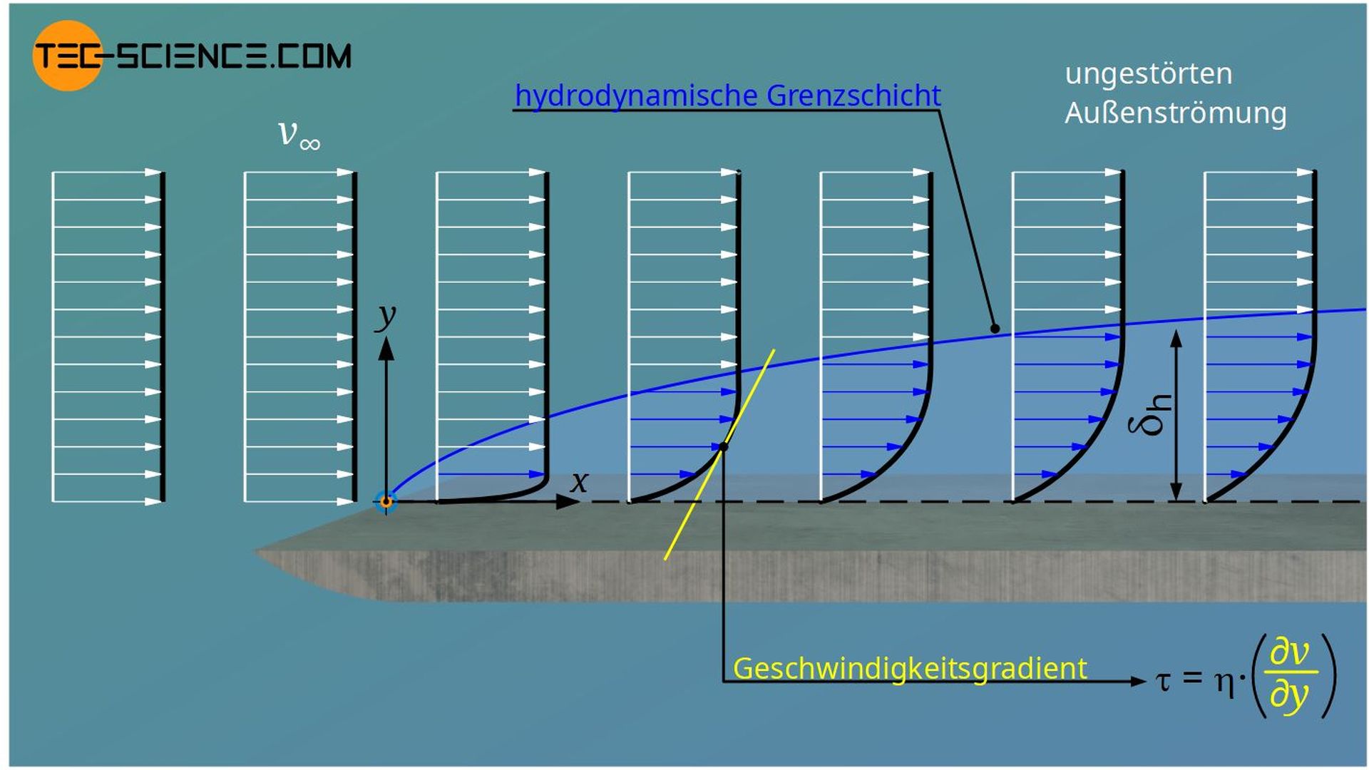 Hydrodynamischen Grenzschicht (Geschwindigkeitsgrenzschicht)