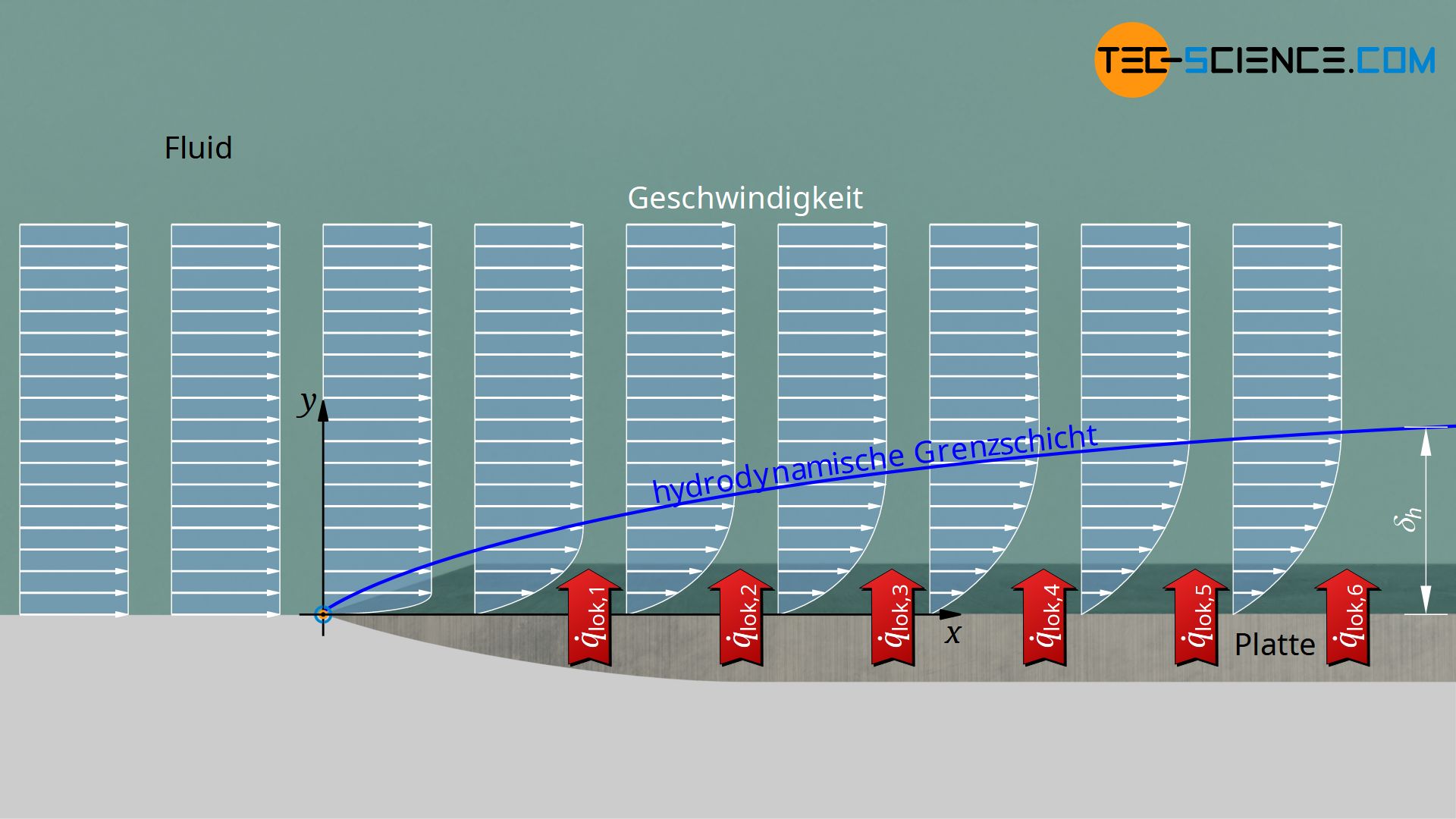 Hydrodynamische Grenzschicht einer isotherm beheizten Platte