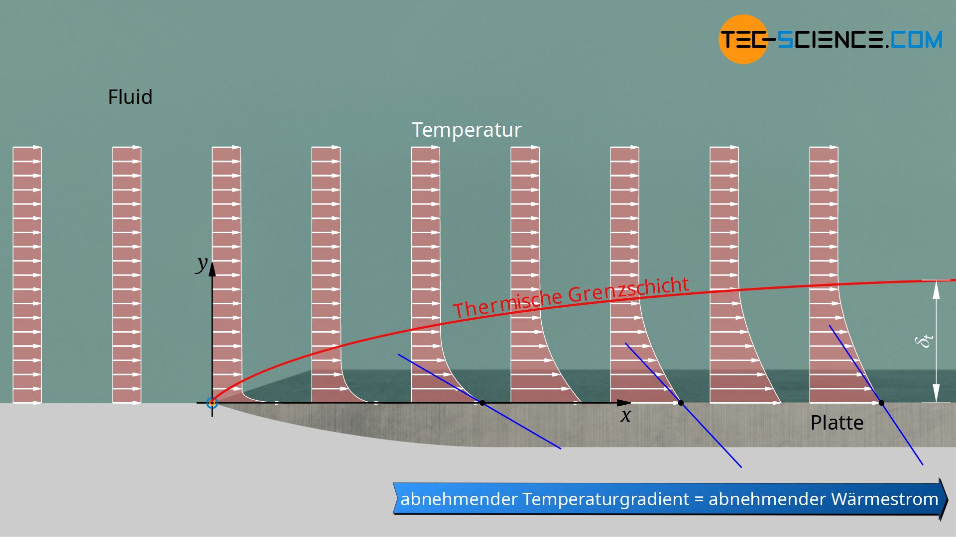 Thermische Grenzschicht einer isotherm beheizten Platte