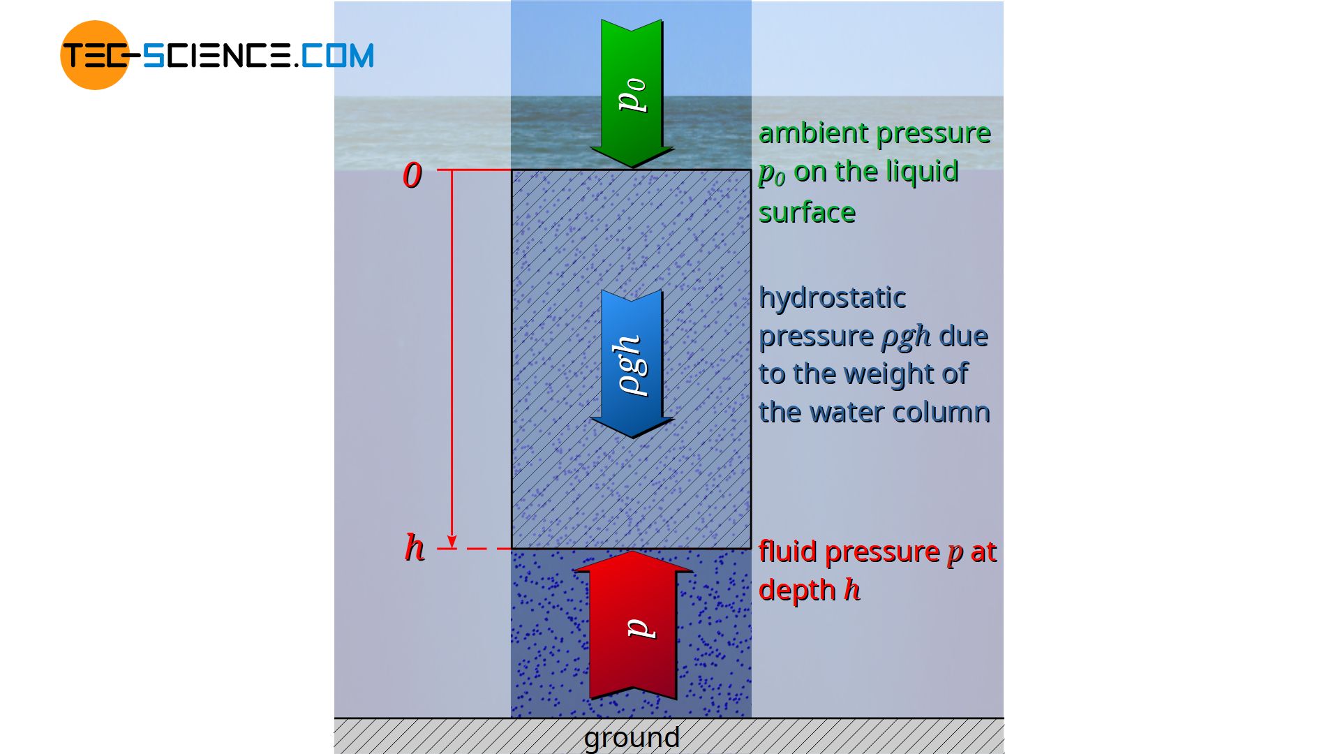 Derivation of the hydrostatic equation