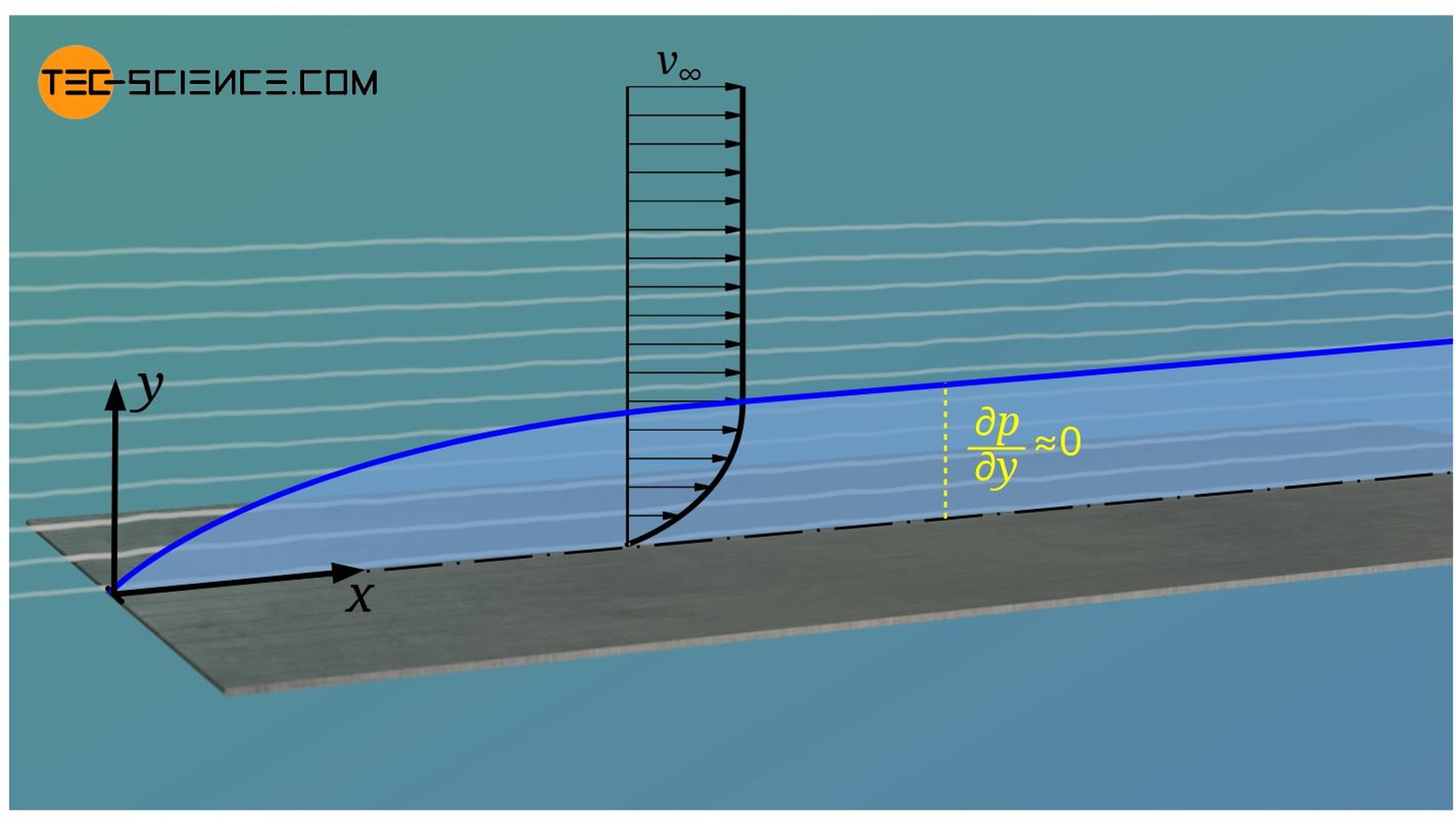 Pressure gradient in the hydrodynamic boundary layer perpendicular to the plate