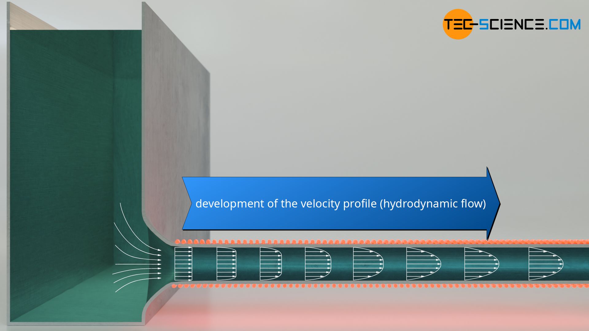 Development of the velocity profile (hydrodynamic flow profile)