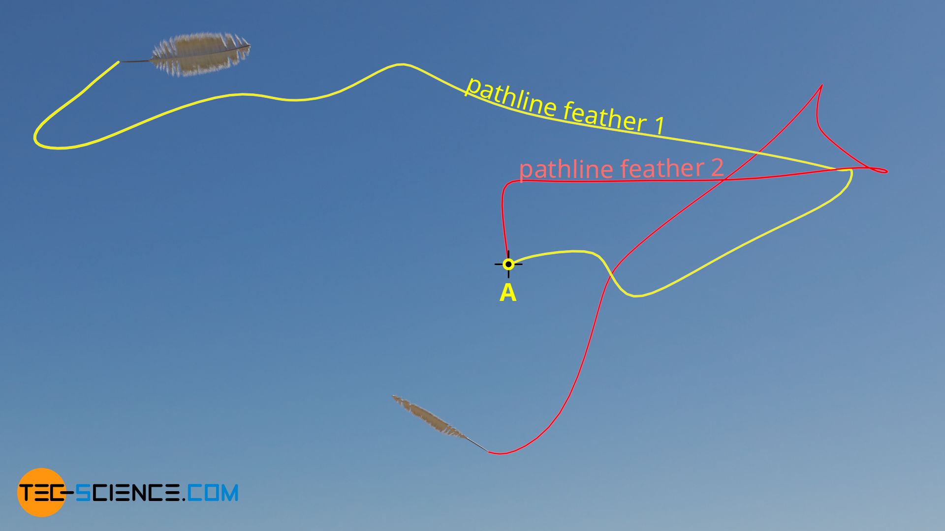 Pathlines (trajectories) of two feathers in an unsteady air flow (wind)