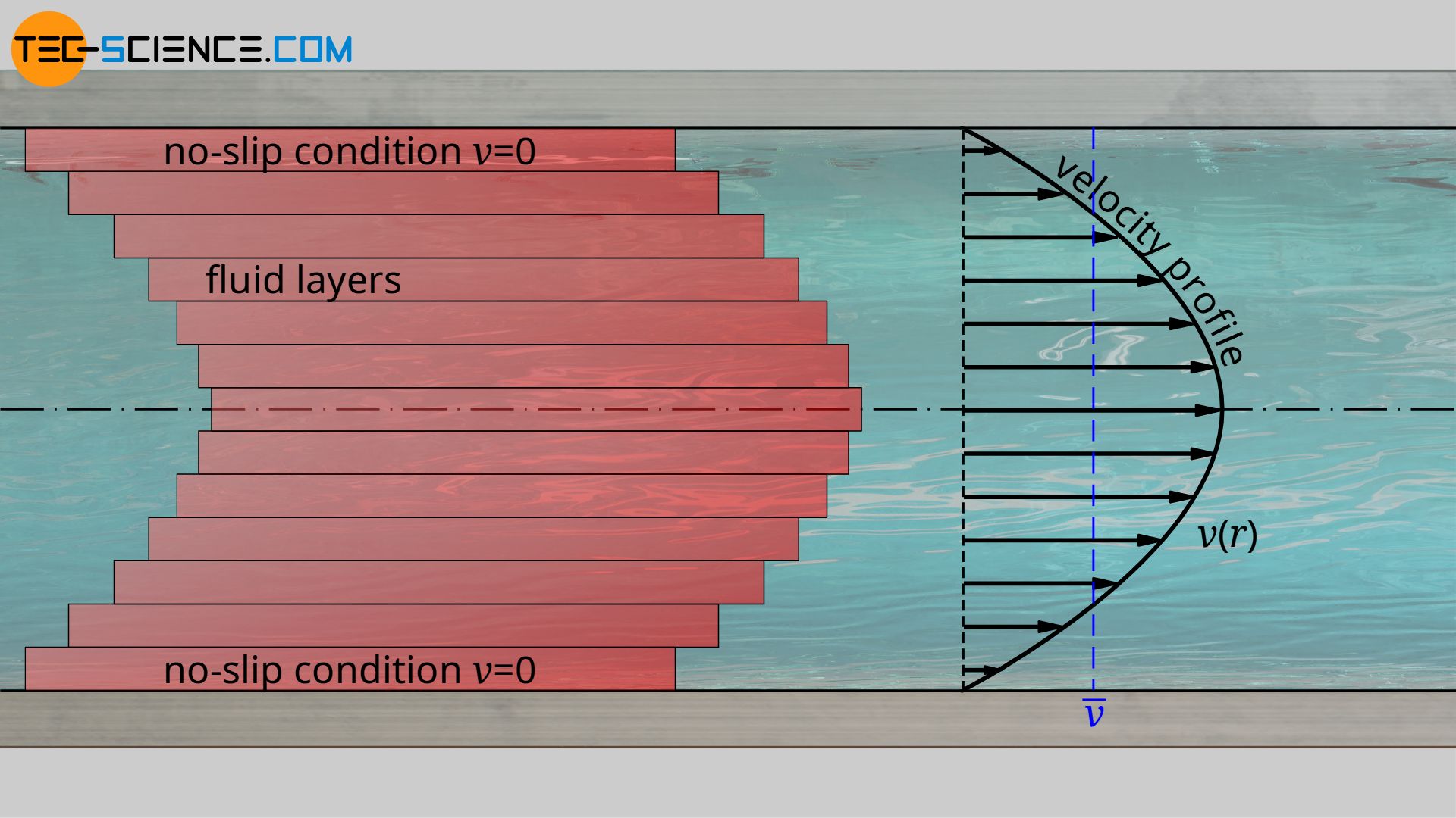 Parabolic velocity profile of a laminar flow in a pipe