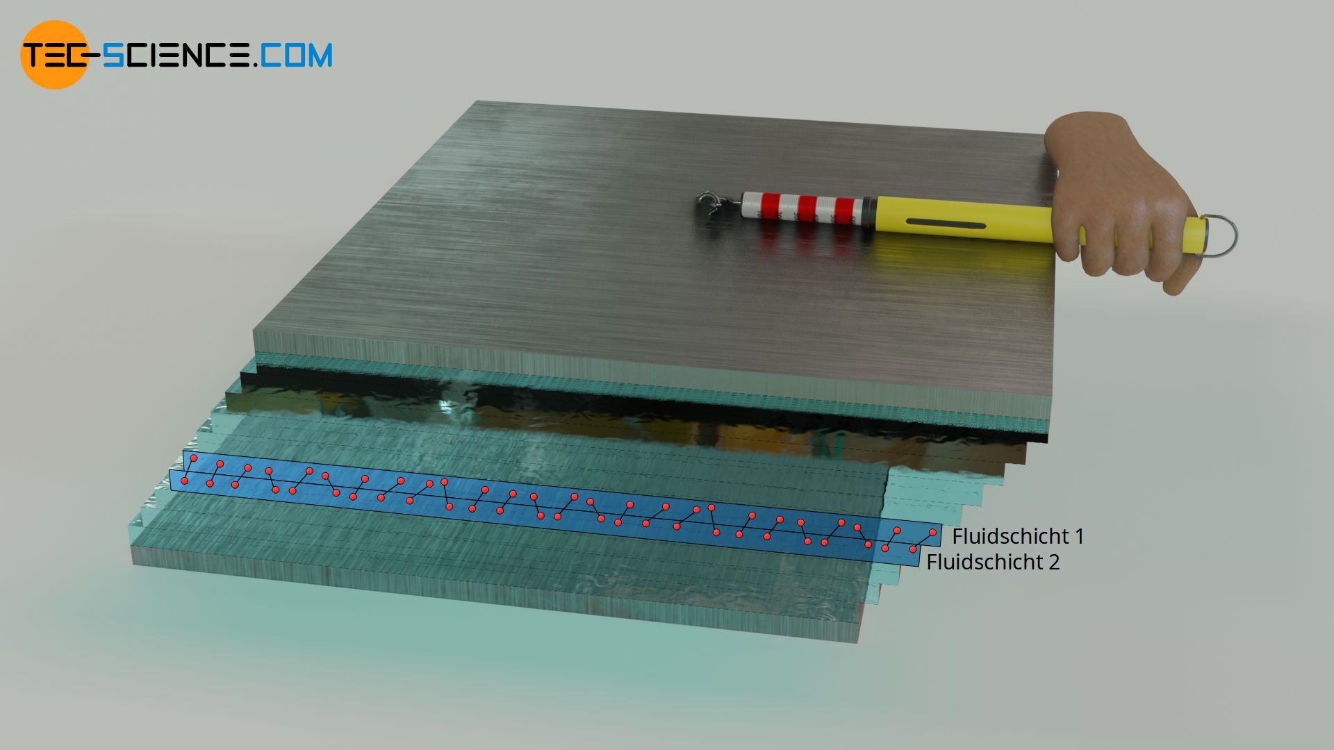 Influence of the surface area on the shear force