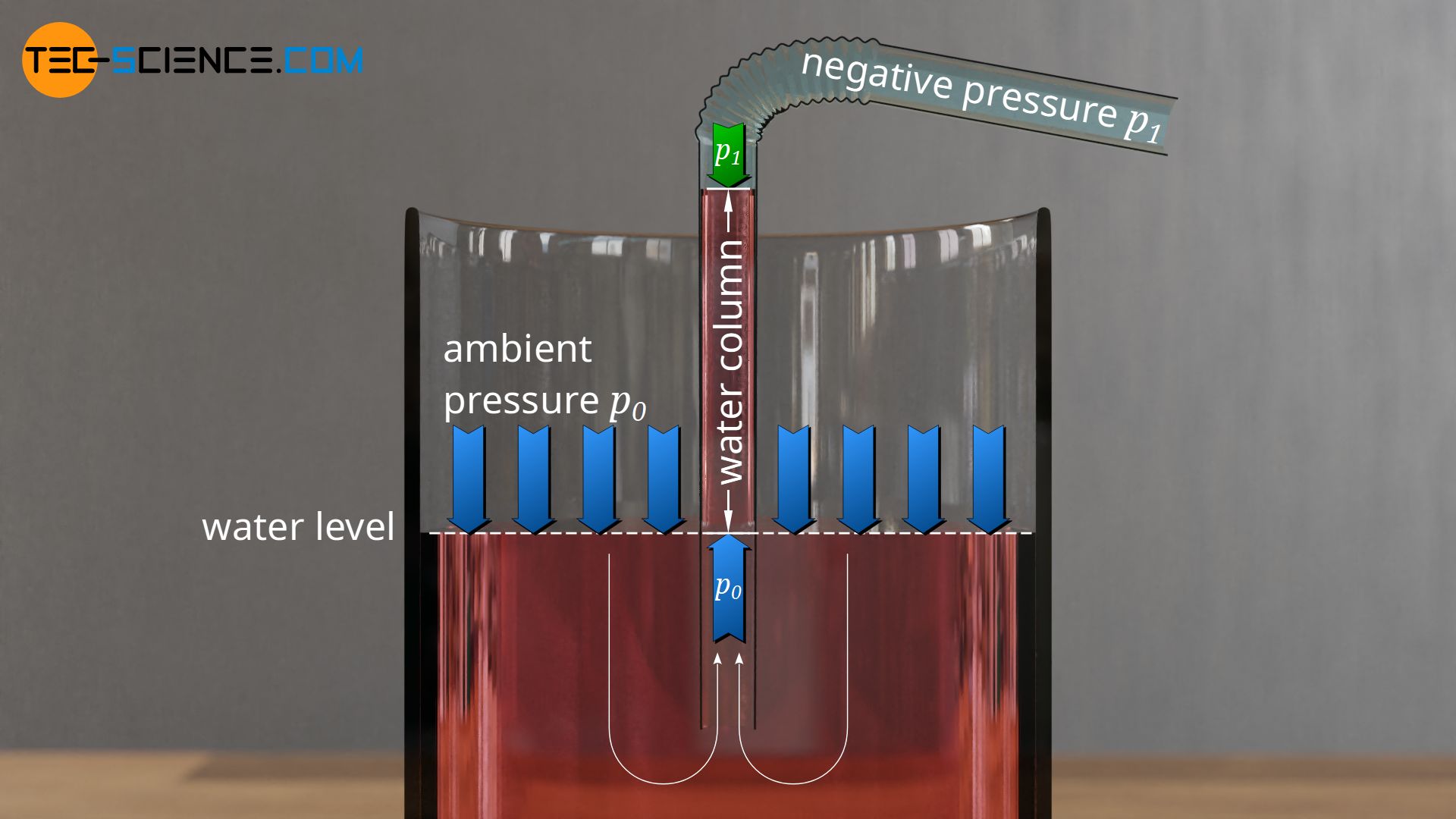 Pressing up the water by the ambient pressure