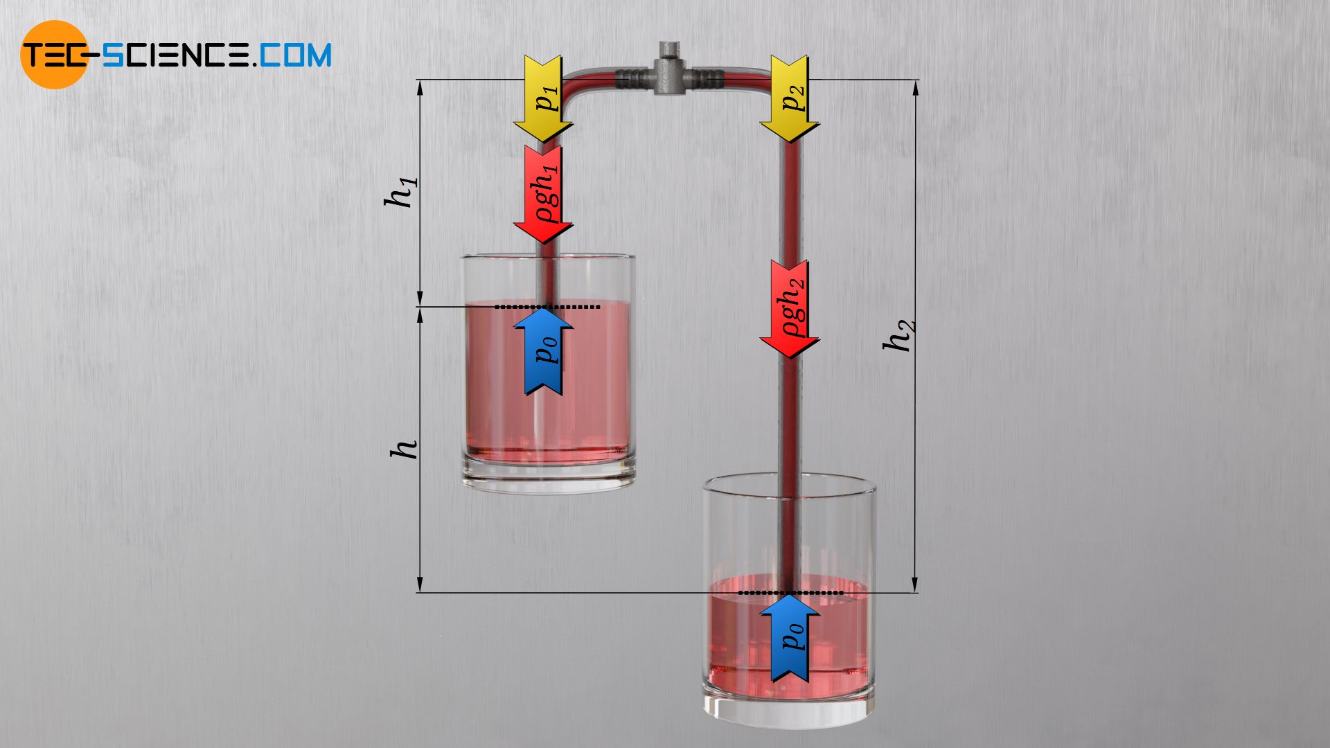 Pressures in the flexible tube