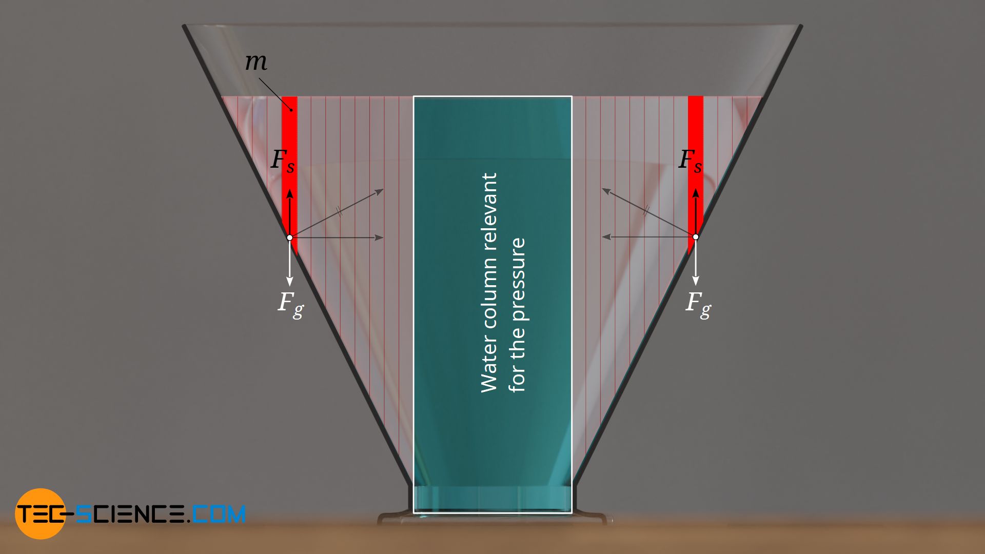 Forces on the vessel wall due to hydrostatic pressure