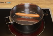 Heating a pot of water with a sausage in it