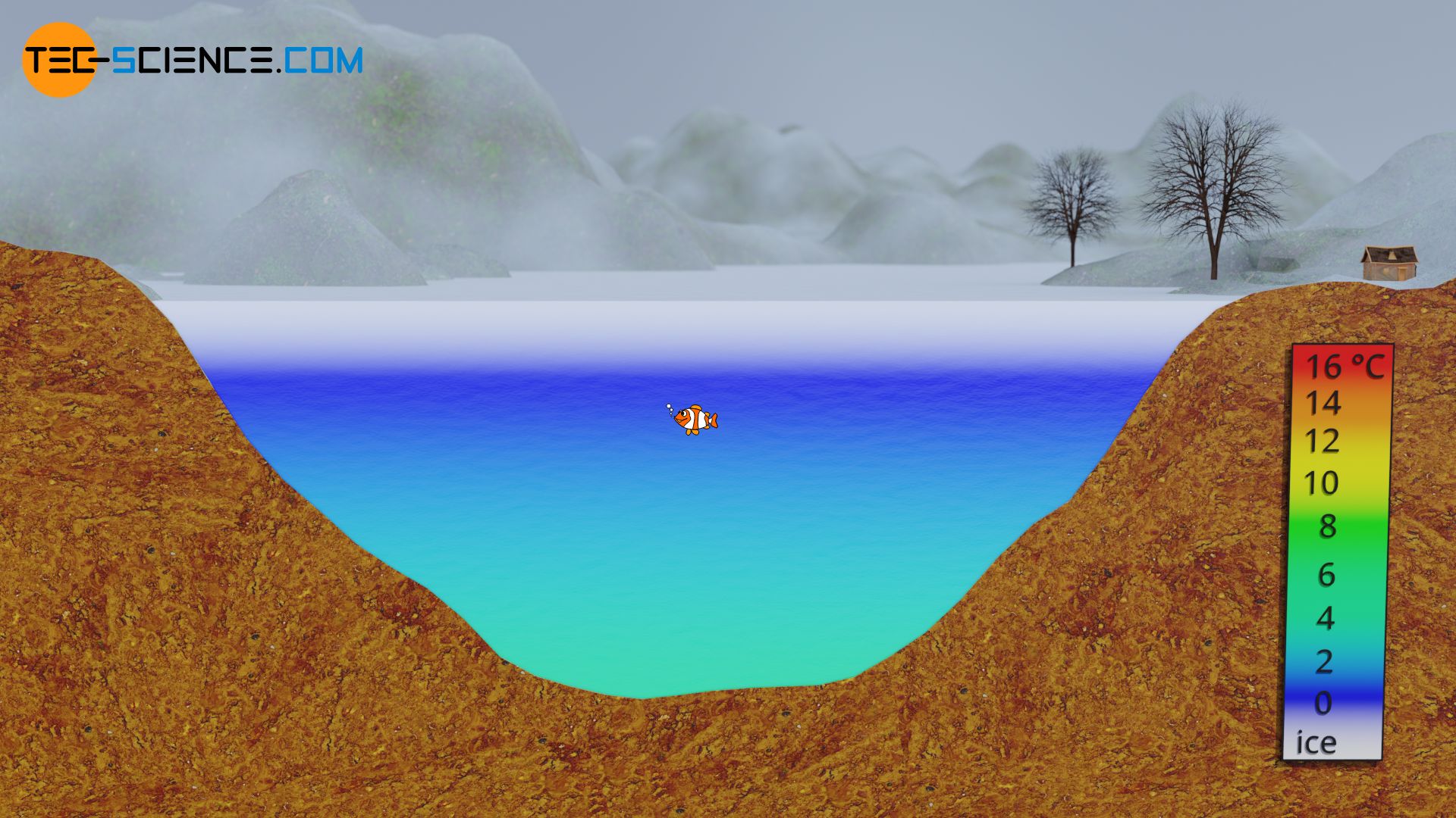 Thermal stratification of a lake in winter